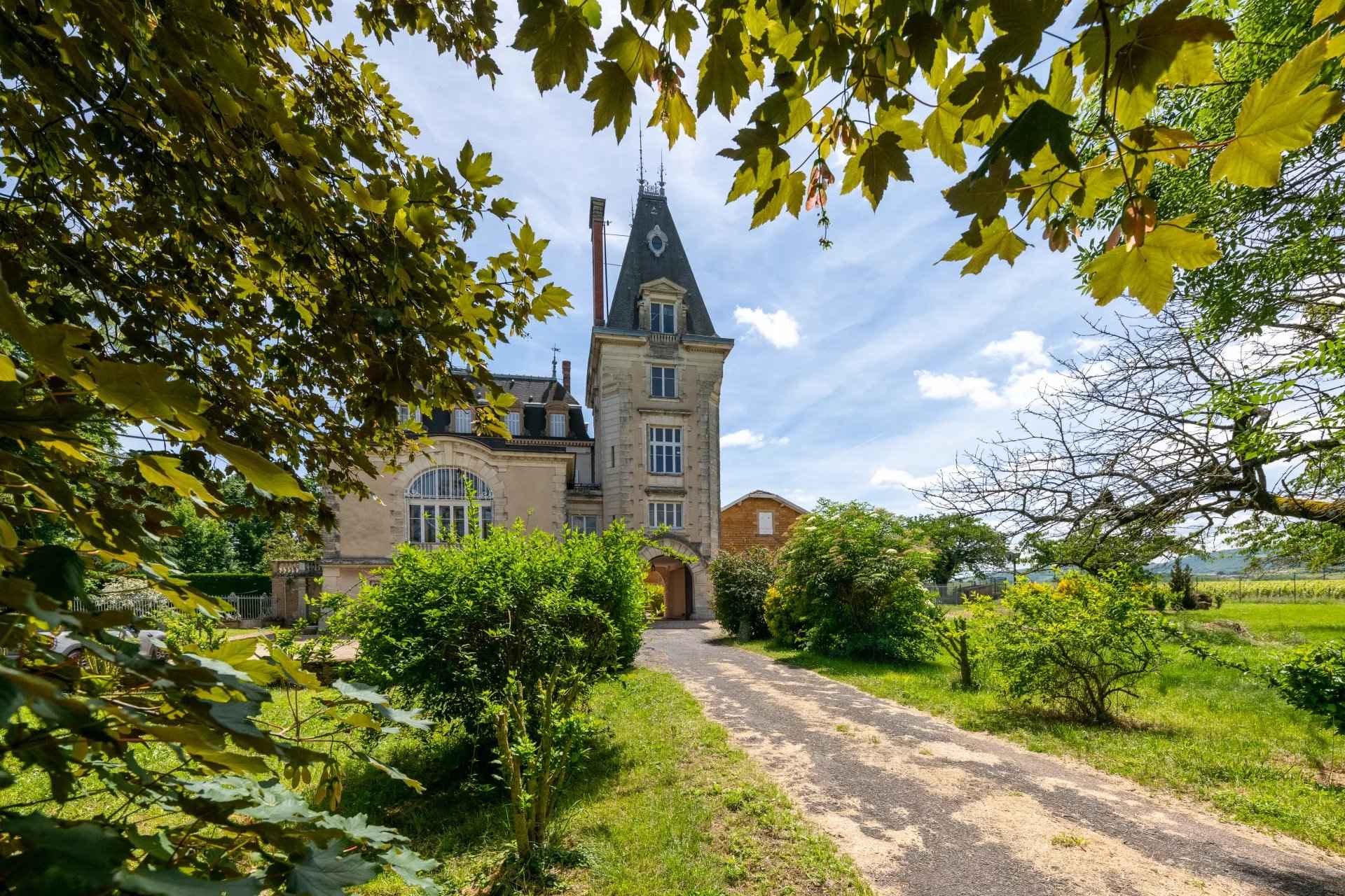 À vendre château à Lacenas