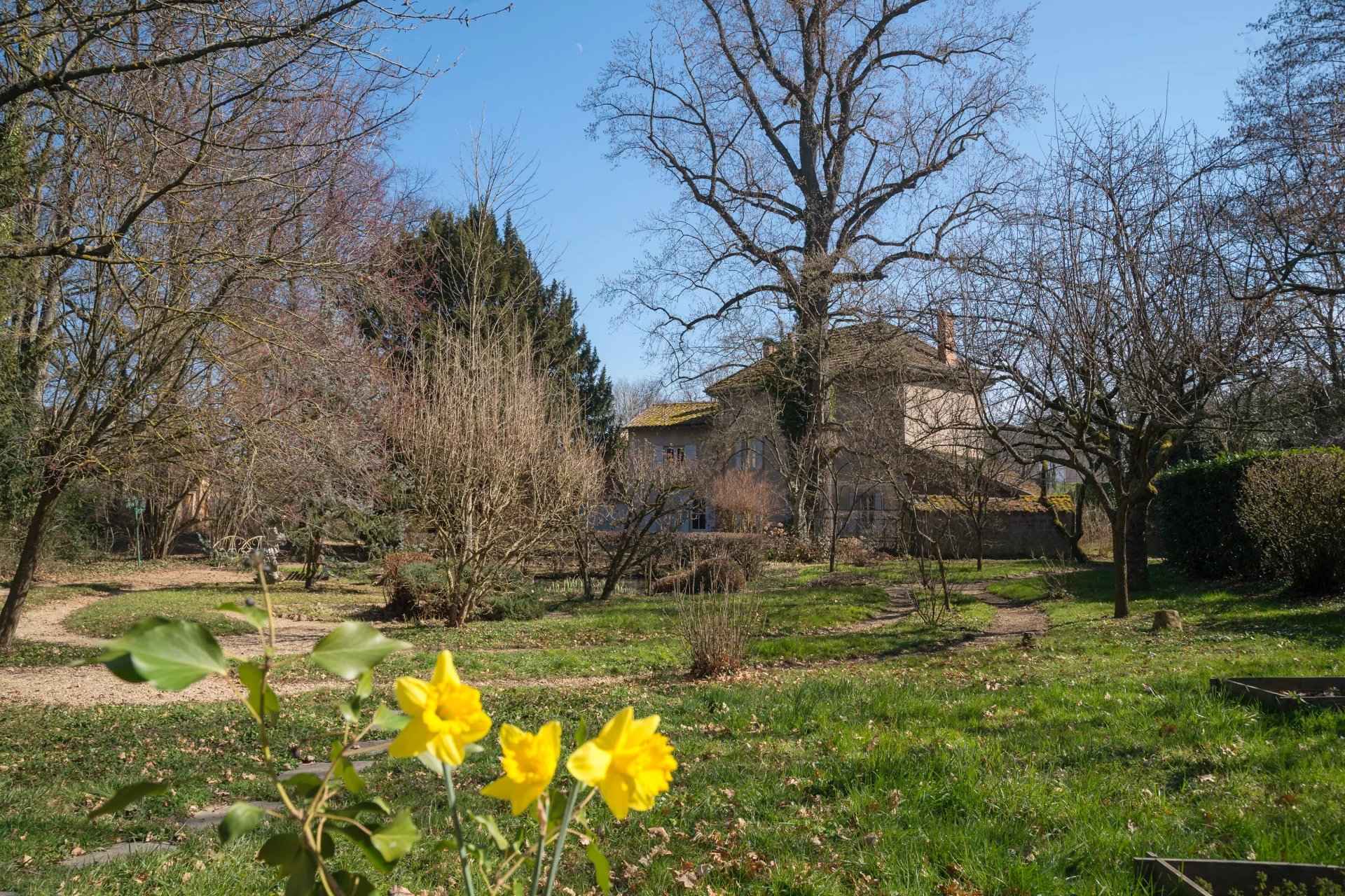 À vendre maison ancienne - Juliénas