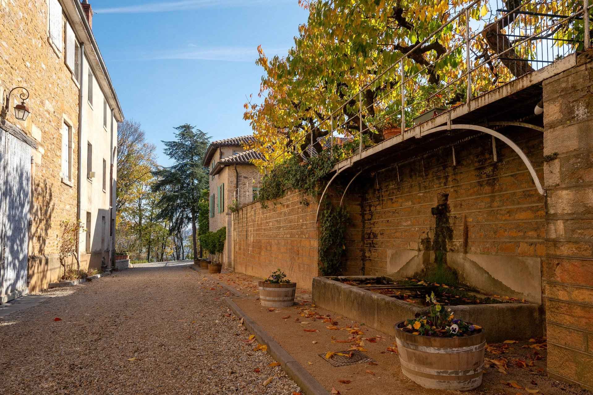 8bb71267a6fedb62b937ffe4f74b4347 8cd15e897b 1920 original - Translation missing: en.helpers.application.image_tag.default_alt