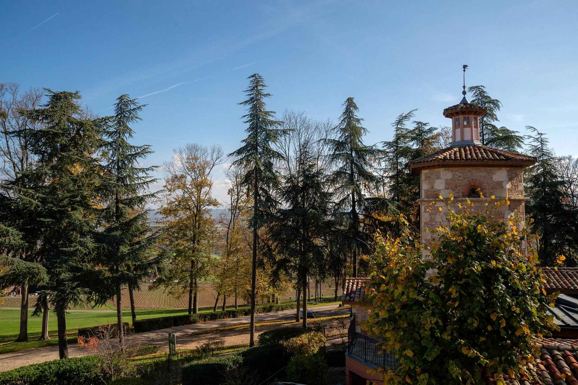 Ab76affd38782f0461eb5f4e51c6f907 48483378b8 1920 original - Translation missing: en.helpers.application.image_tag.default_alt