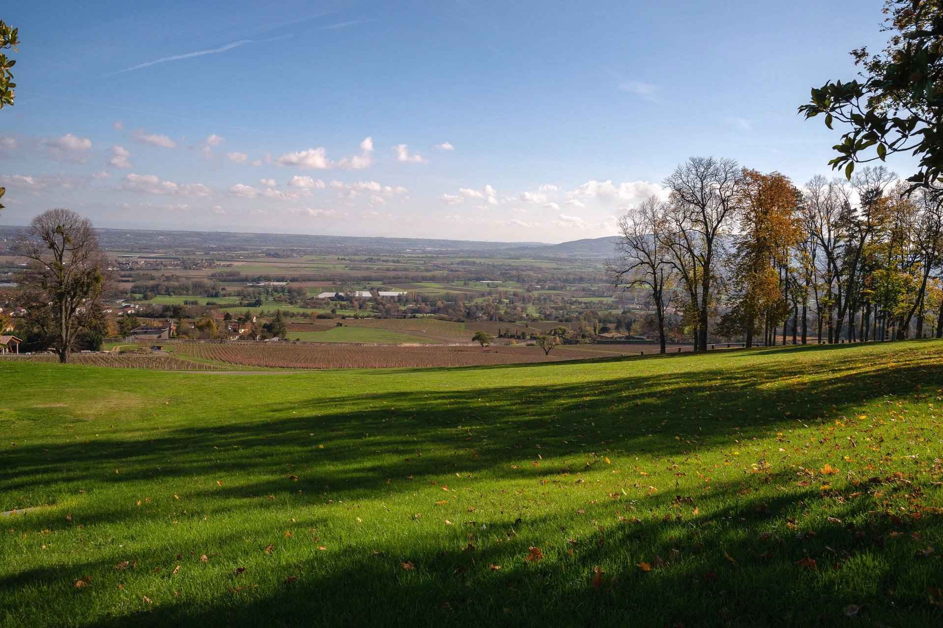 B9ae03ae8d777fe1078700d924c0d4b6 7e8fbd213e 1920 original - Translation missing: en.helpers.application.image_tag.default_alt