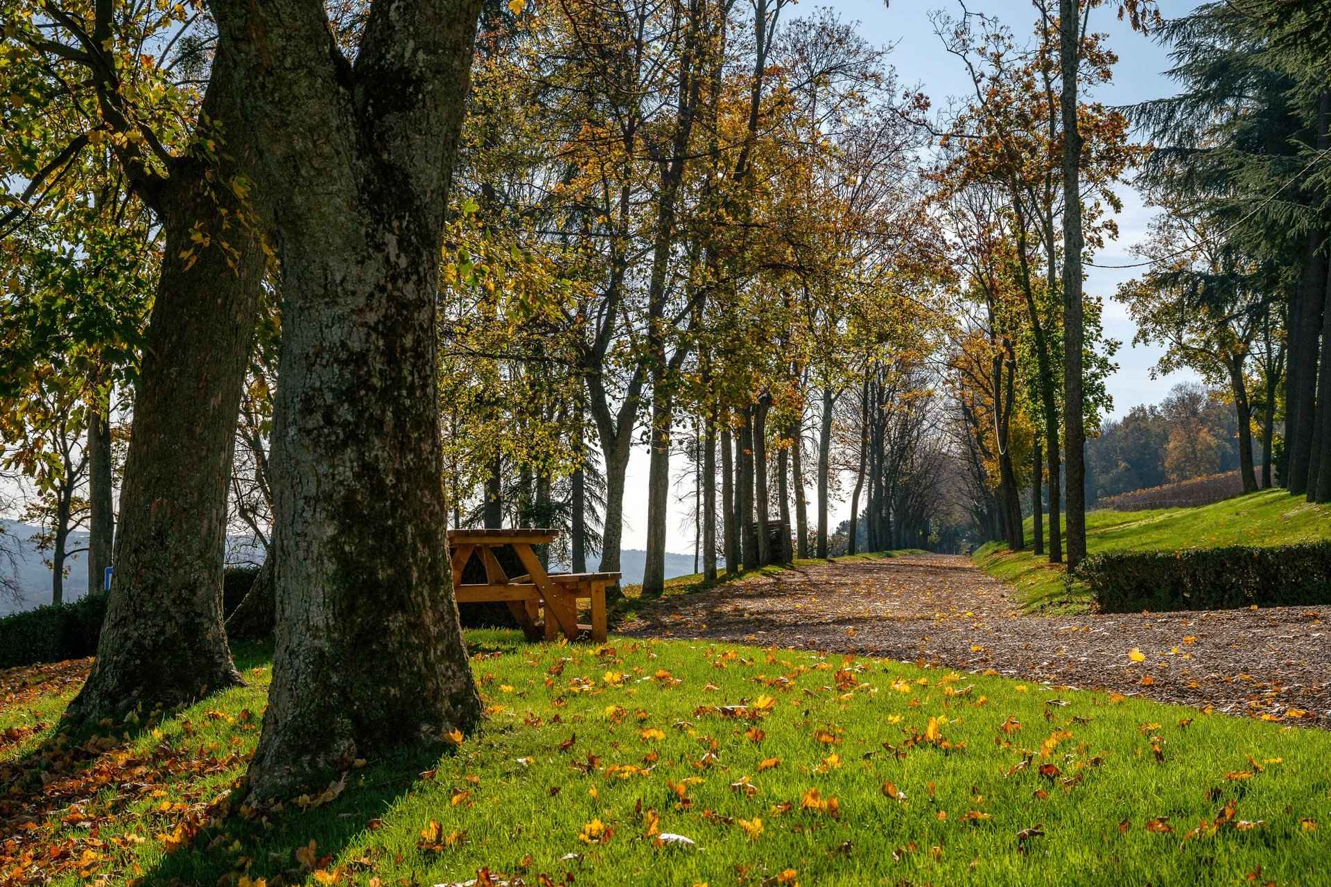 F6b3057aff059d5449ee5e30ee422b62 270d6fd8cd 1920 original - Translation missing: en.helpers.application.image_tag.default_alt