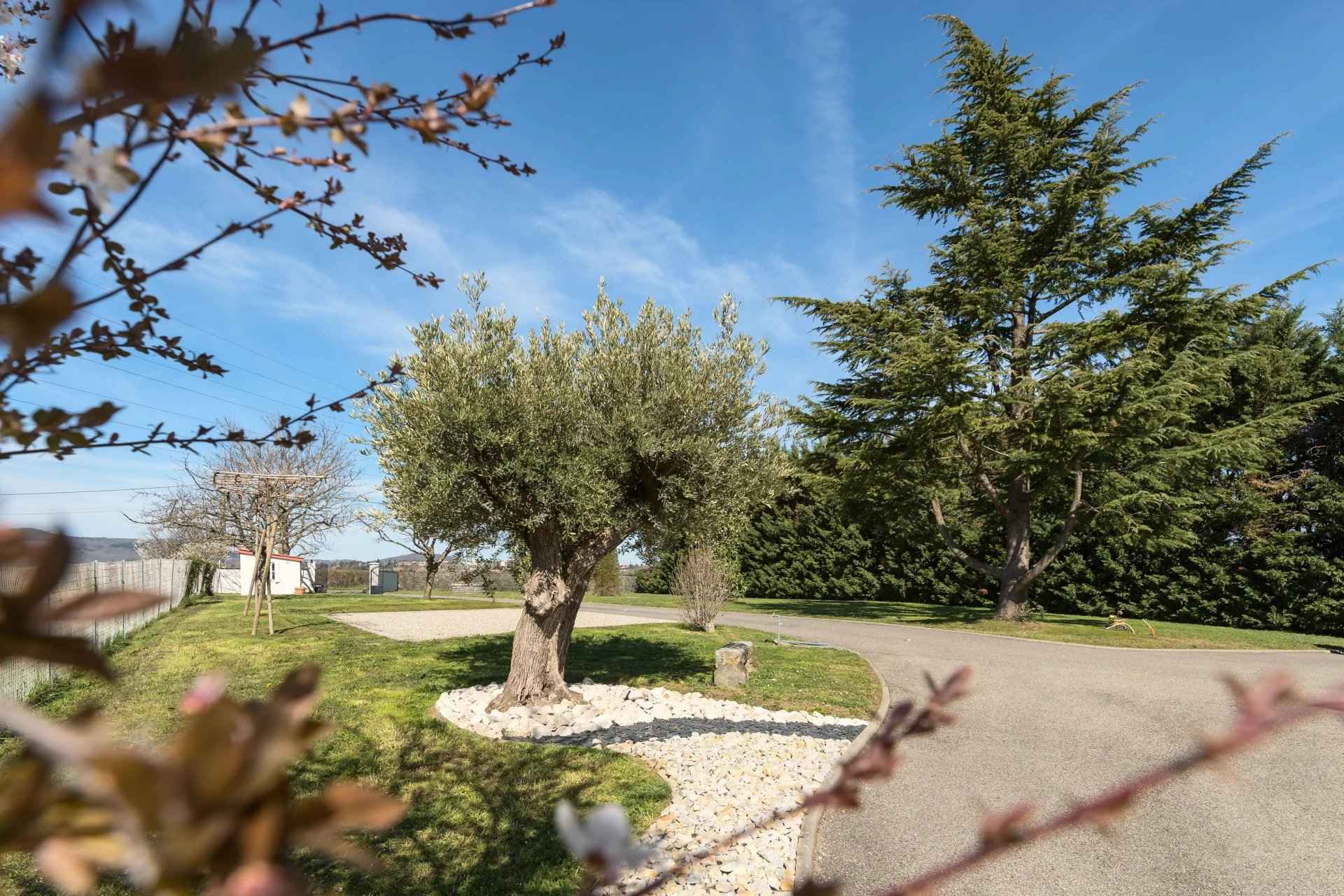 2b5959f6e1a05042e30124f9ea402a6a faf6b3280b 1920 original - Translation missing: en.helpers.application.image_tag.default_alt