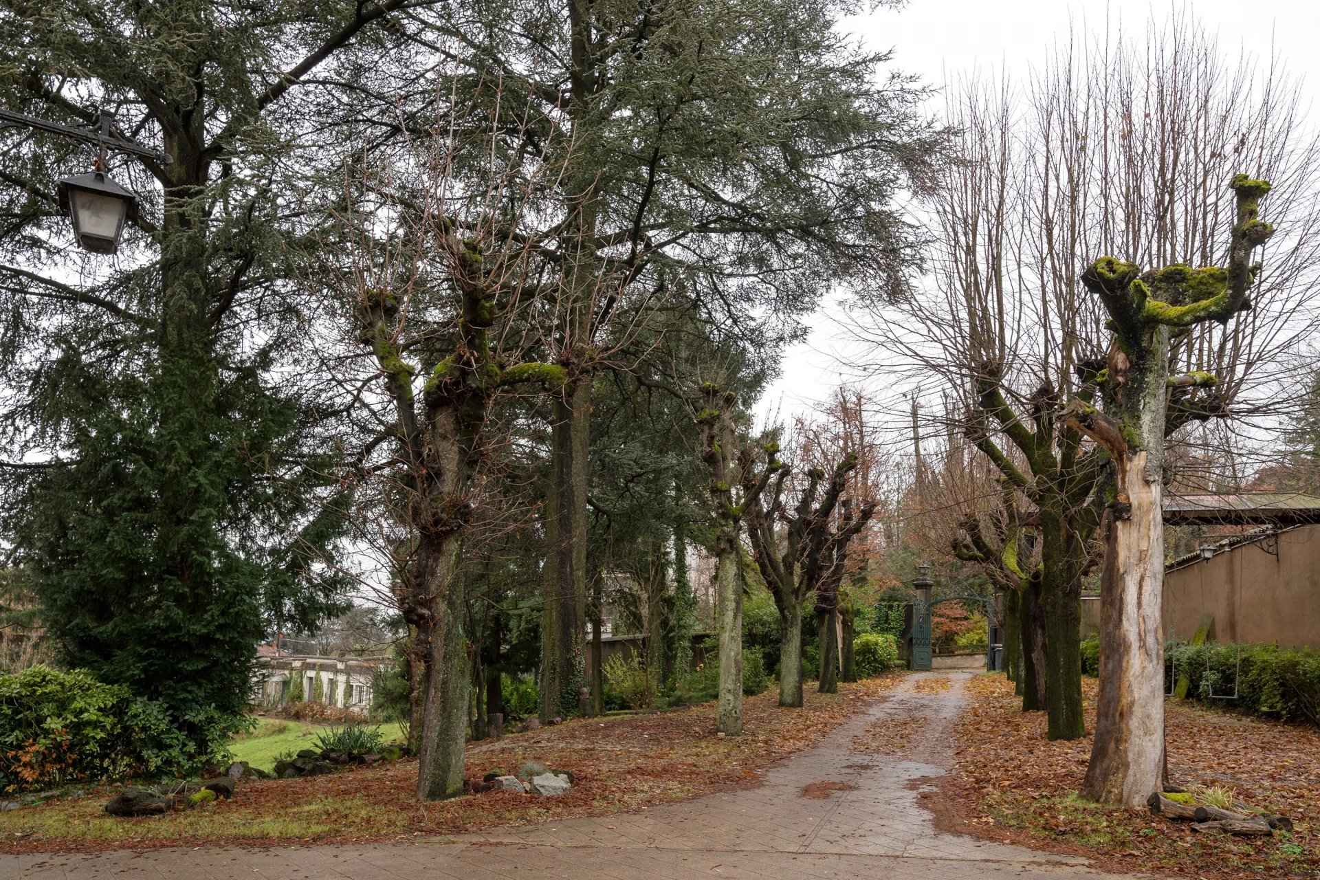 38198e3fda0b2b3ff1ec413cdc284df0 d6a5894d3e 1920 original - Translation missing: en.helpers.application.image_tag.default_alt