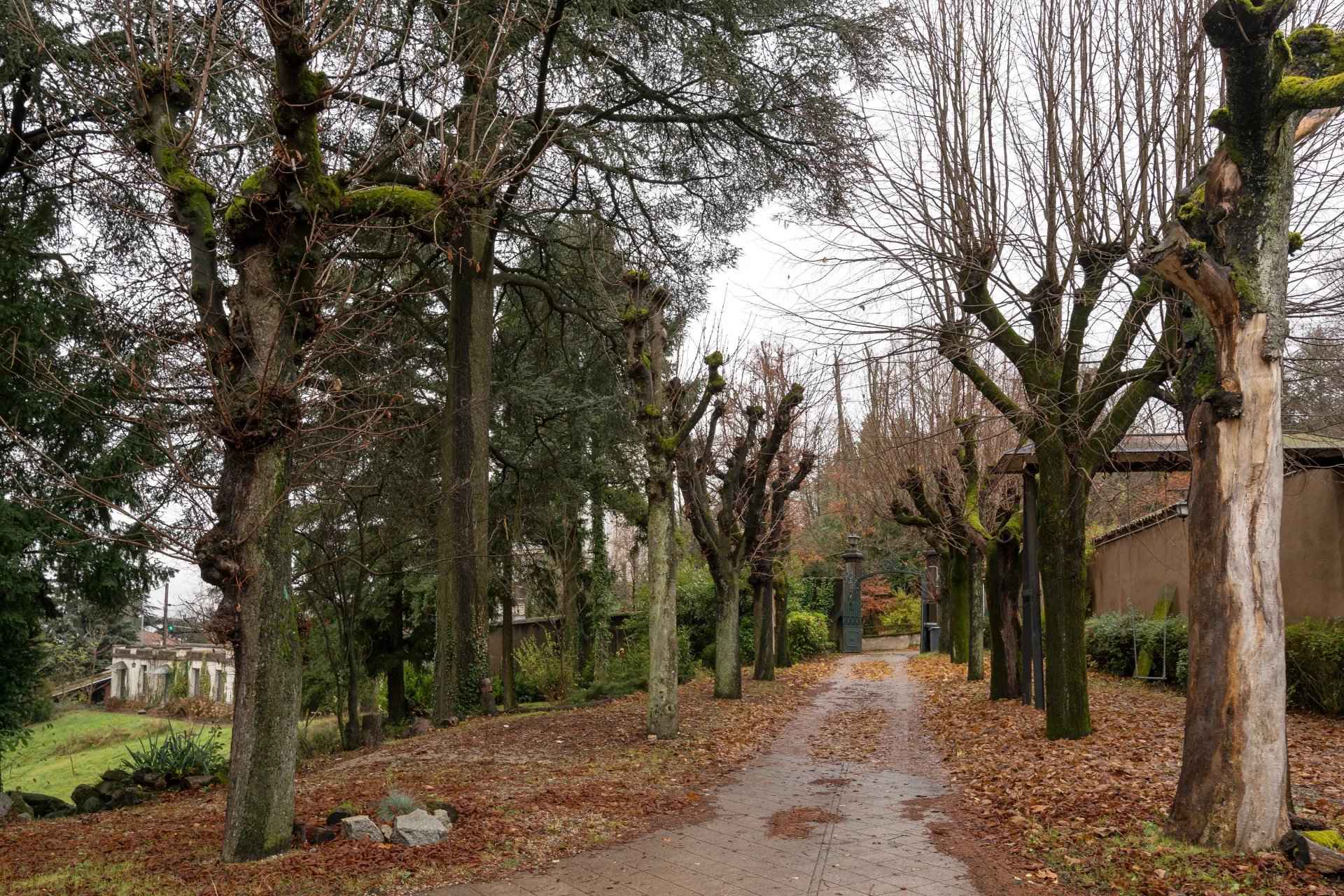 Dea20b35d0759b32b036fd23c9592bb8 2effe3031a 1920 original - Translation missing: en.helpers.application.image_tag.default_alt