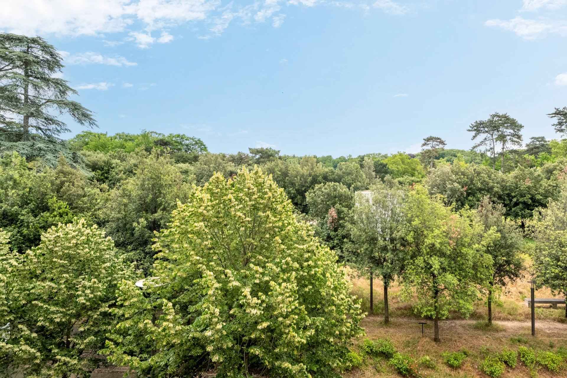 E01dc83a08ab58b4659d4b38e32bf7bf 3ee857f180 1920 original - Translation missing: en.helpers.application.image_tag.default_alt