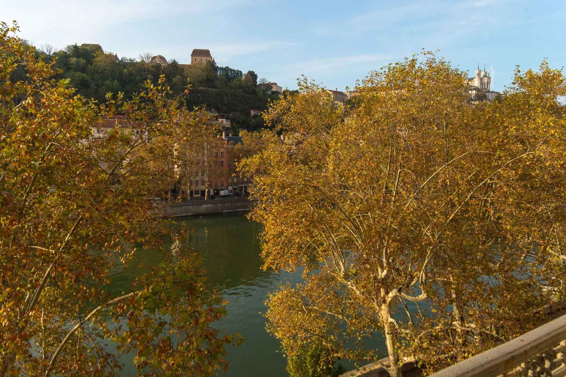 F95accf872d6a5273ba401ab90107406 b1da1dc766 1920 original - Translation missing: en.helpers.application.image_tag.default_alt