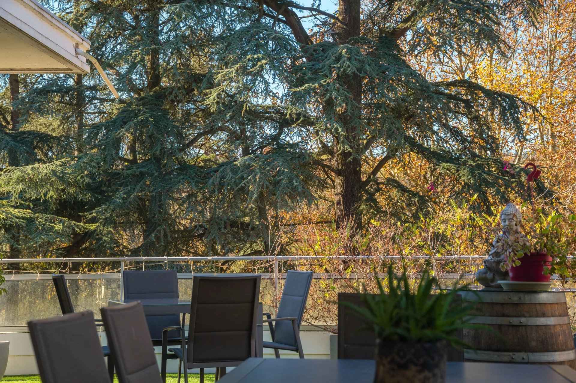 Ea01a8eabc108a6c6b49446fc8f7429c 806a8ef21a 1920 original - Attribut alt par défaut.