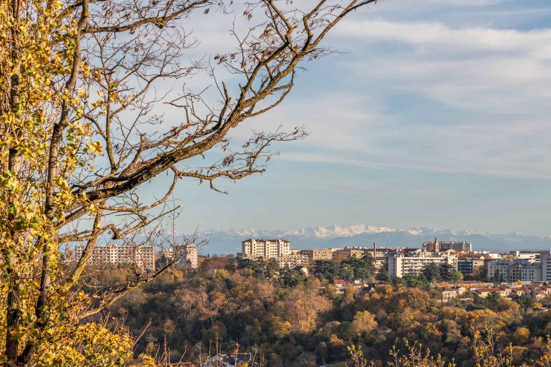 87916e868ab5f41a31856e2369b25842 a883cdbde7 1920 original - Translation missing: en.helpers.application.image_tag.default_alt