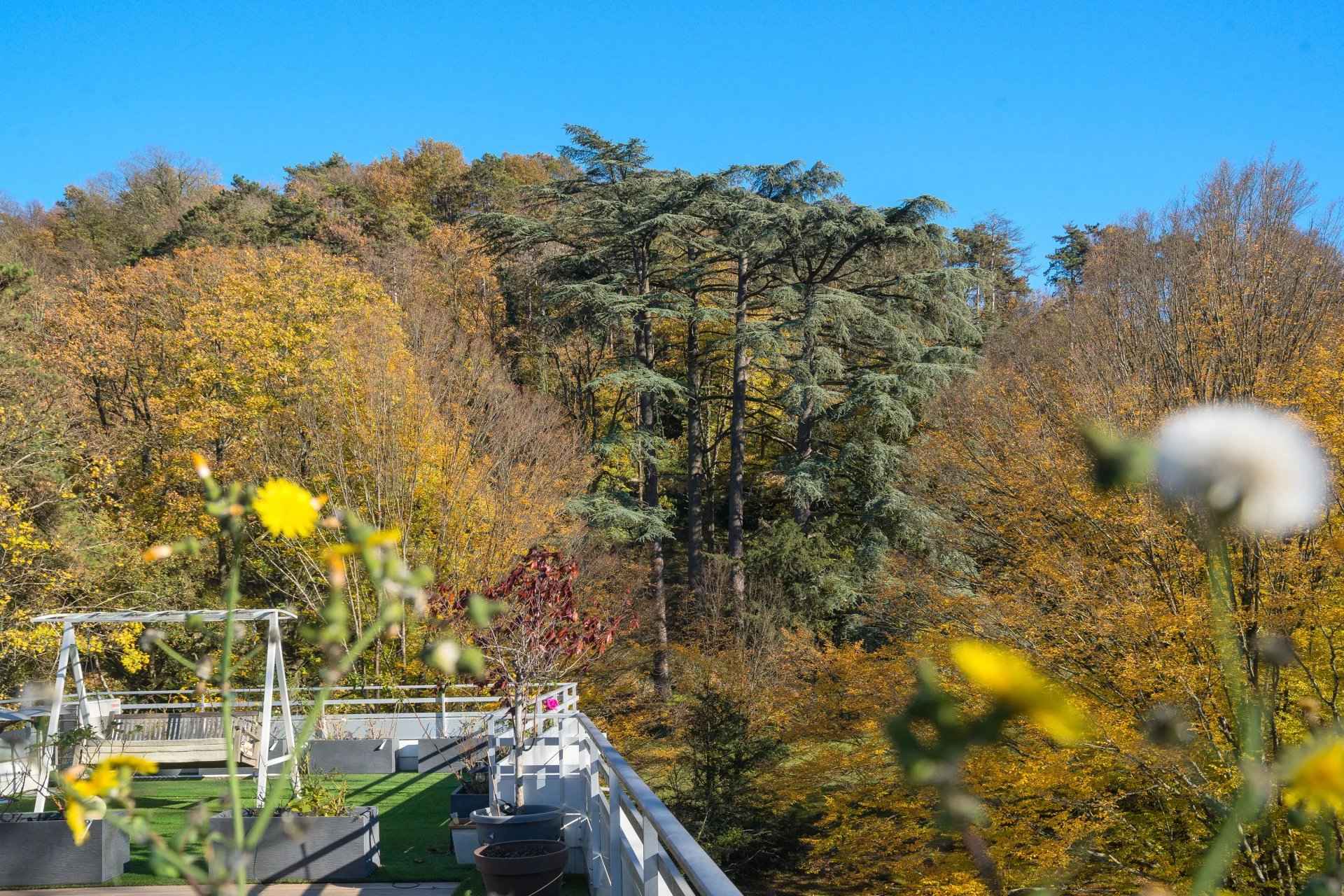 Ce765be957b0e9008db4360bb1a32a90 6fdd1d392c 1920 original - Attribut alt par défaut.