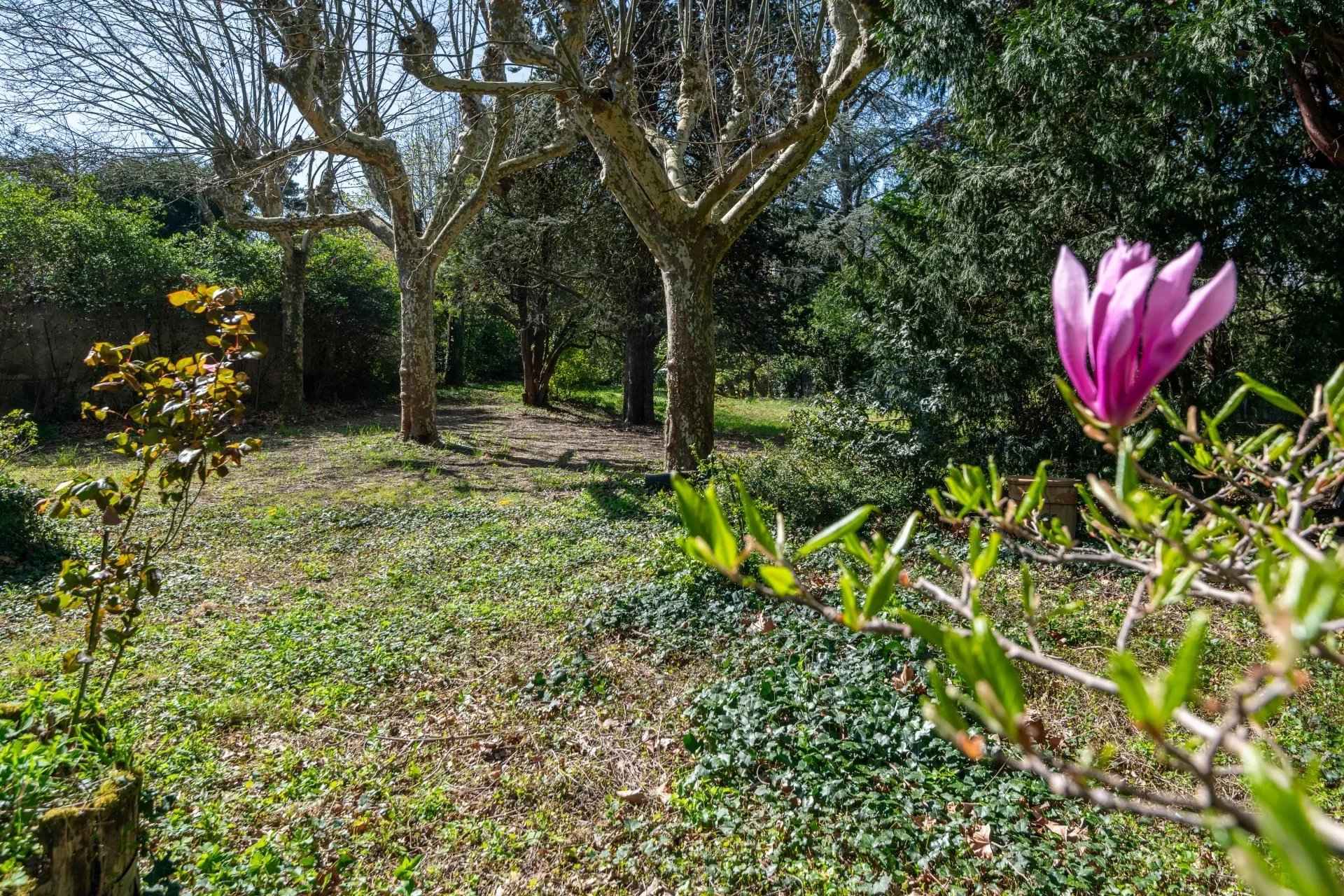 Af473c272d5877068fcaac81ab9f295d 24b5969c66 1920 original - Translation missing: en.helpers.application.image_tag.default_alt