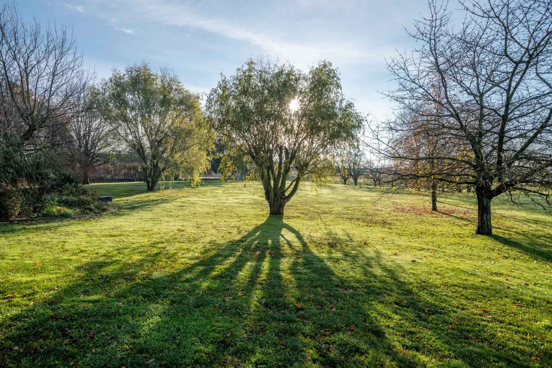 Cb6f860a35c740d7469708059af8c7b3 b7789cf844 1920 original - Attribut alt par défaut.