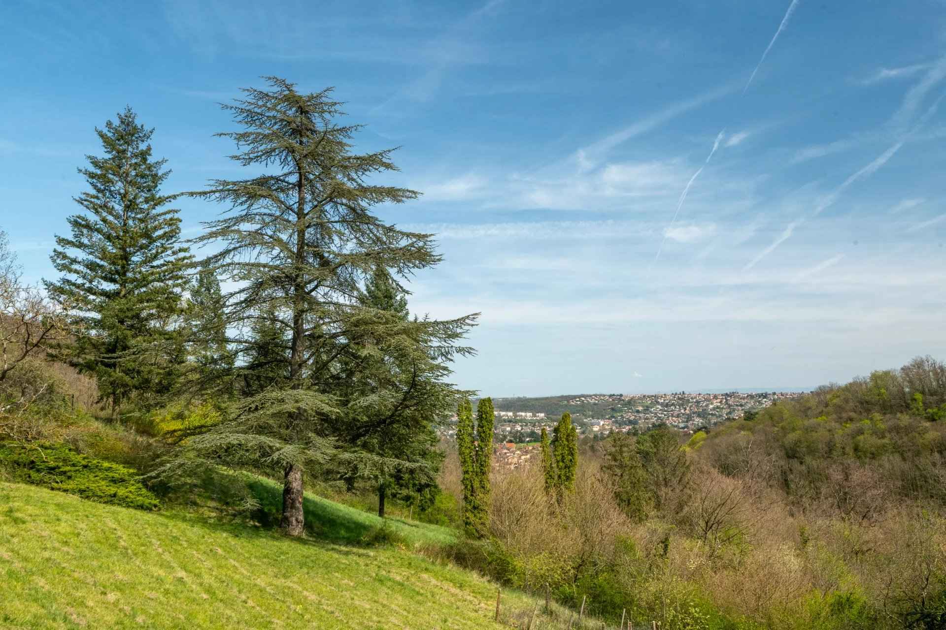 Aa864a53890bbe10bd393ebaa063bf8c 5c7b11754b 1920 original - Translation missing: en.helpers.application.image_tag.default_alt