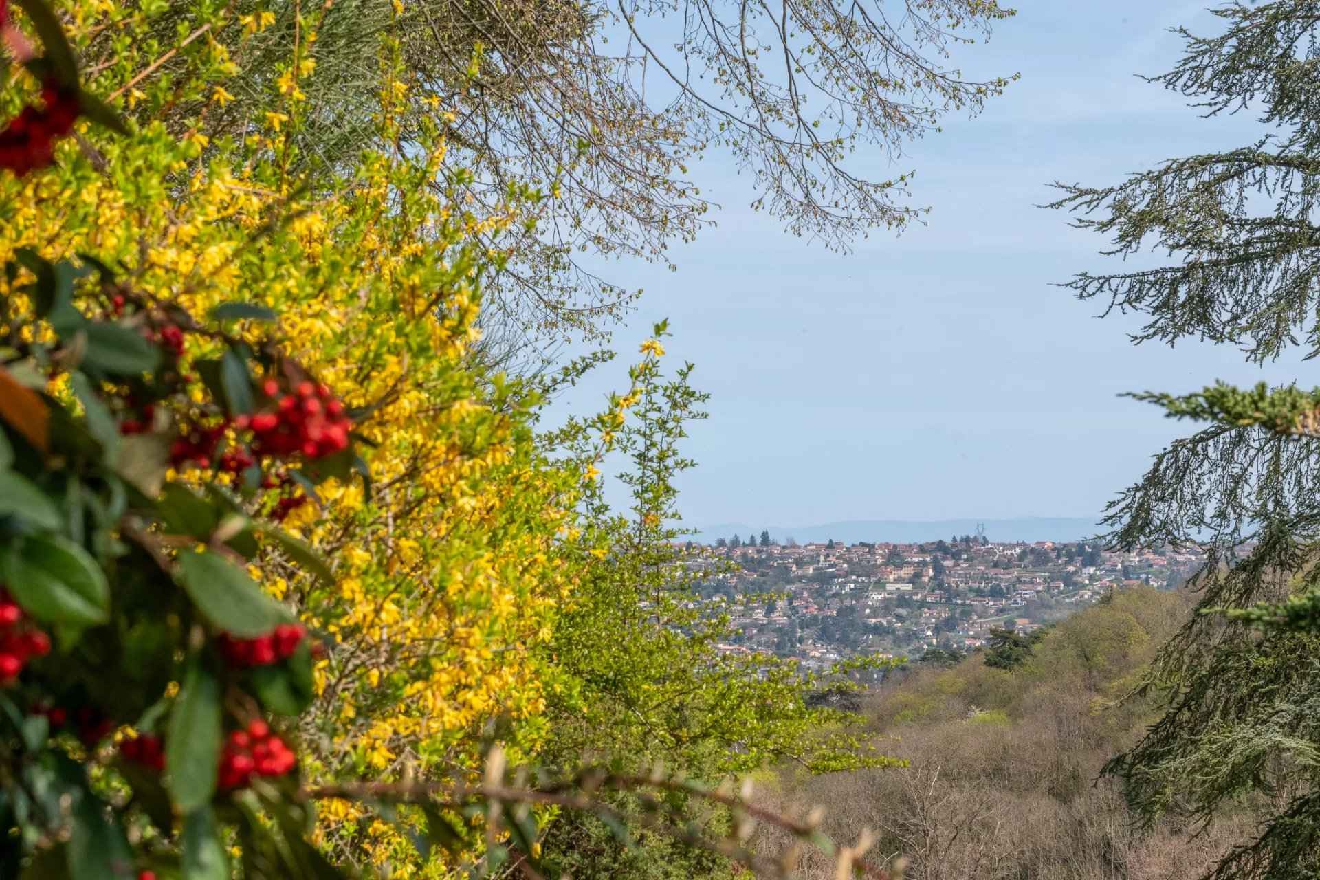 5e9dd1abf103bae717745b35e30b77f4 9ebb57e2c2 1920 original - Attribut alt par défaut.