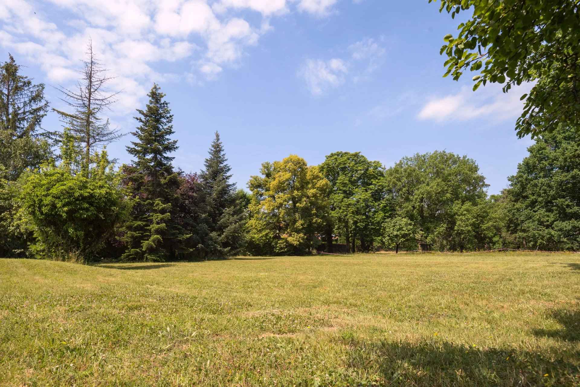 1dbc3518790282ed12d851981e7913ce 81bc8ff21c 1920 original - Translation missing: en.helpers.application.image_tag.default_alt