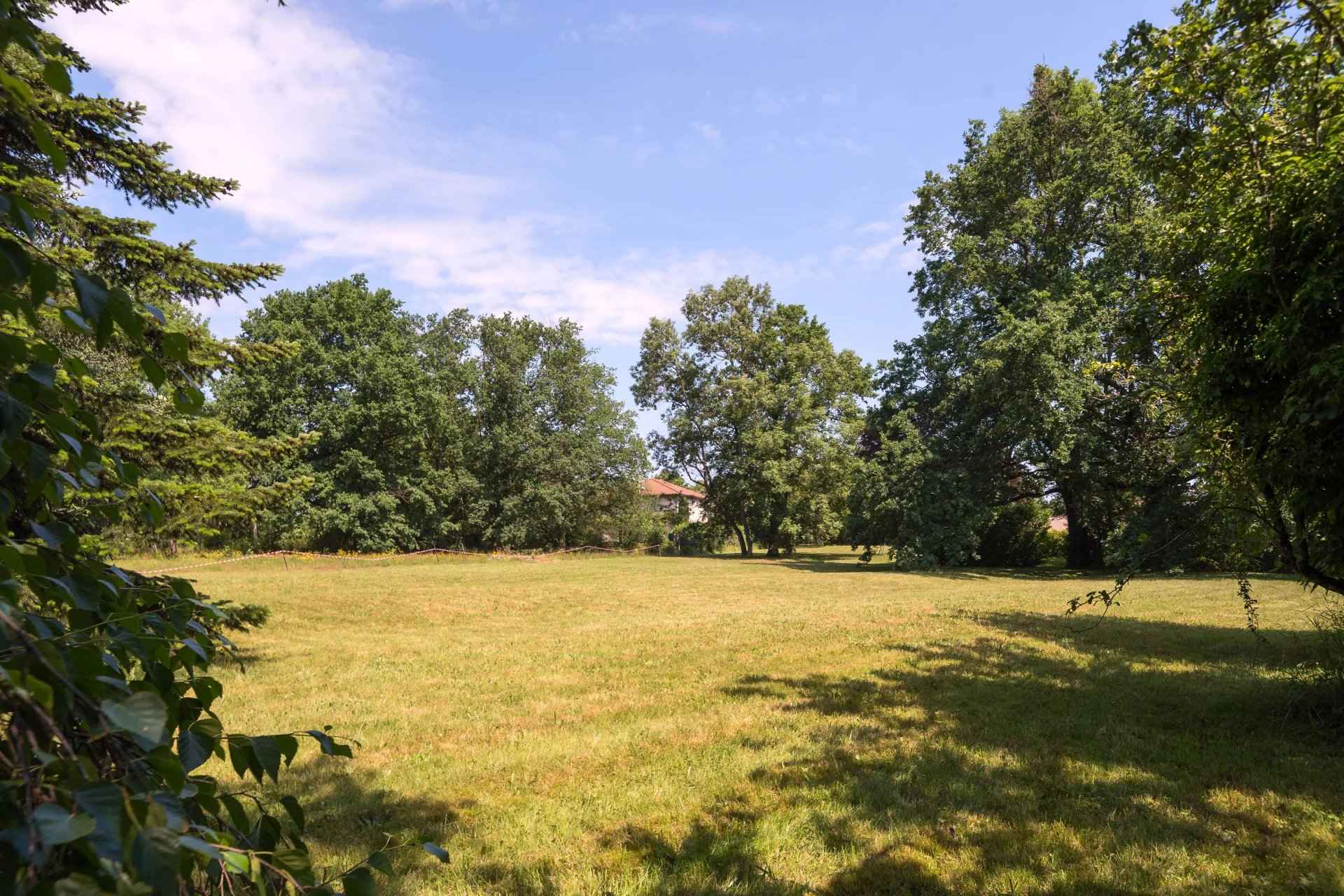 E487f2368a8a6f4e69b7f0a6dac77c45 437063823d 1920 original - Translation missing: en.helpers.application.image_tag.default_alt