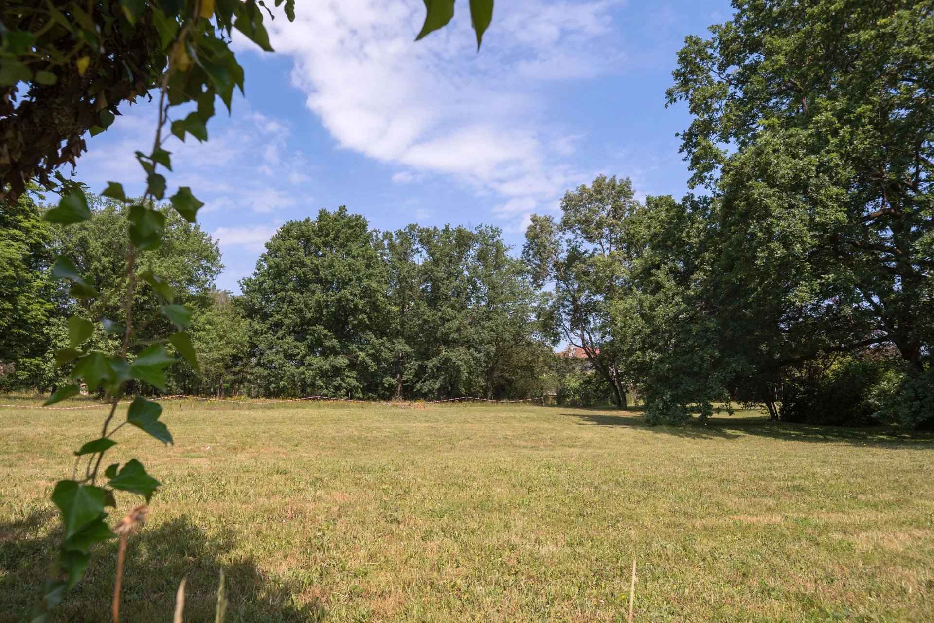 F2e654eaceca11d4083b9e24dcf7bede ccbf4e2e6d 1920 original - Translation missing: en.helpers.application.image_tag.default_alt