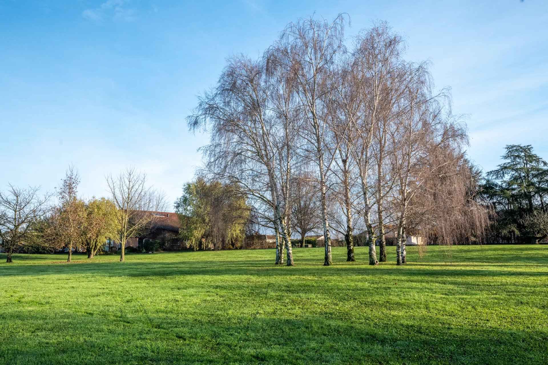 8999c835d7cad6d872710c35bbb8ec6e e6527a90a9 1920 original - Attribut alt par défaut.