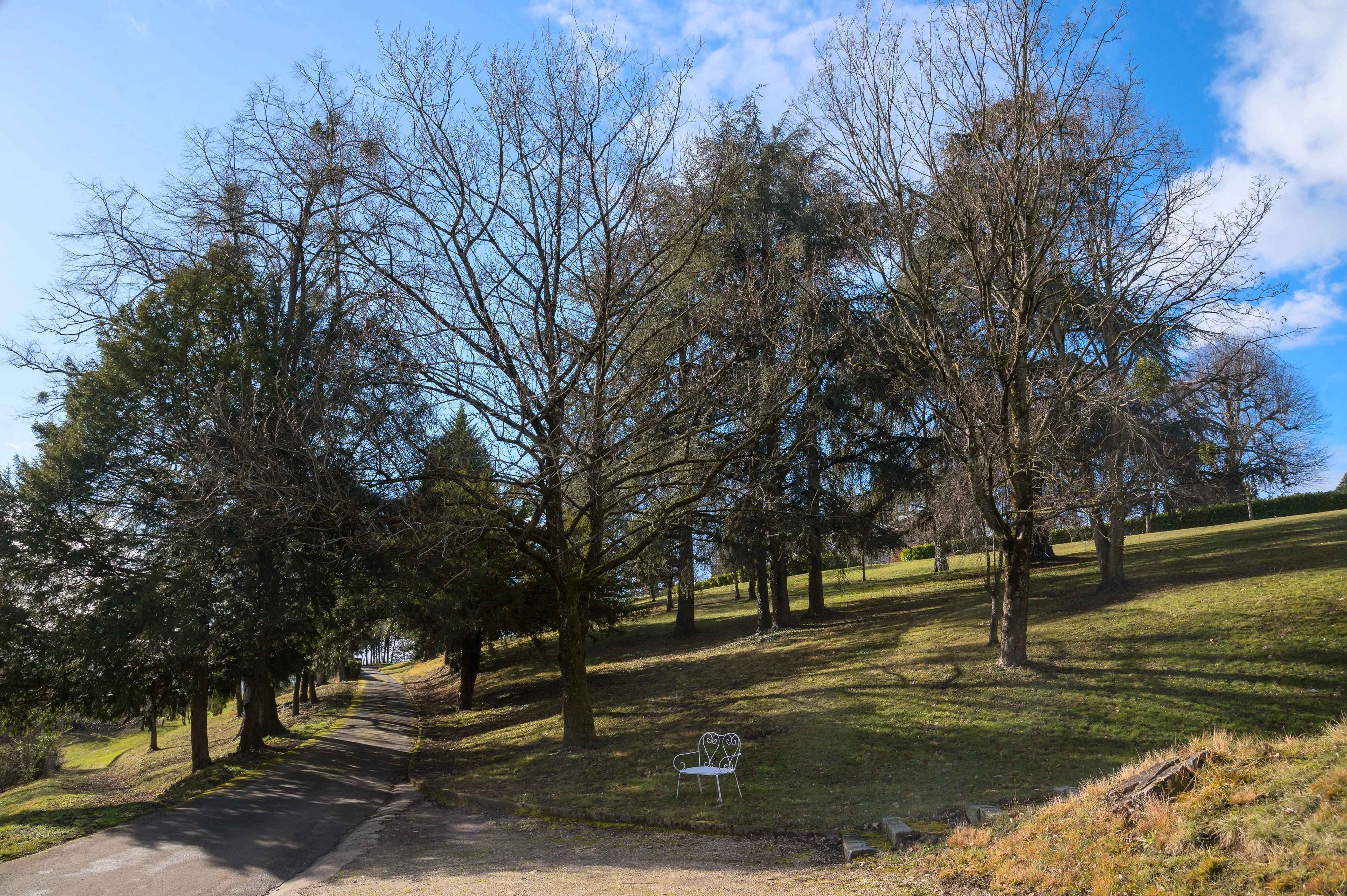 F8a160cda74e182680c3f1a81b67b17a 0935c63a3e 4000 original - Translation missing: en.helpers.application.image_tag.default_alt