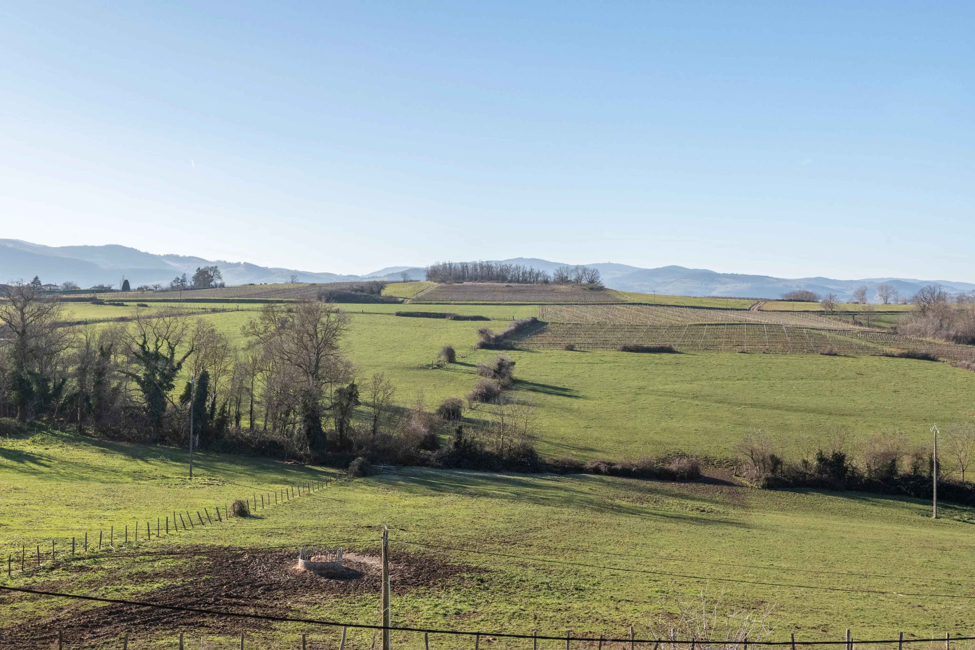 F3f1c4b03f63178209b0218421195854 8c074706d3 4096 original - Translation missing: en.helpers.application.image_tag.default_alt