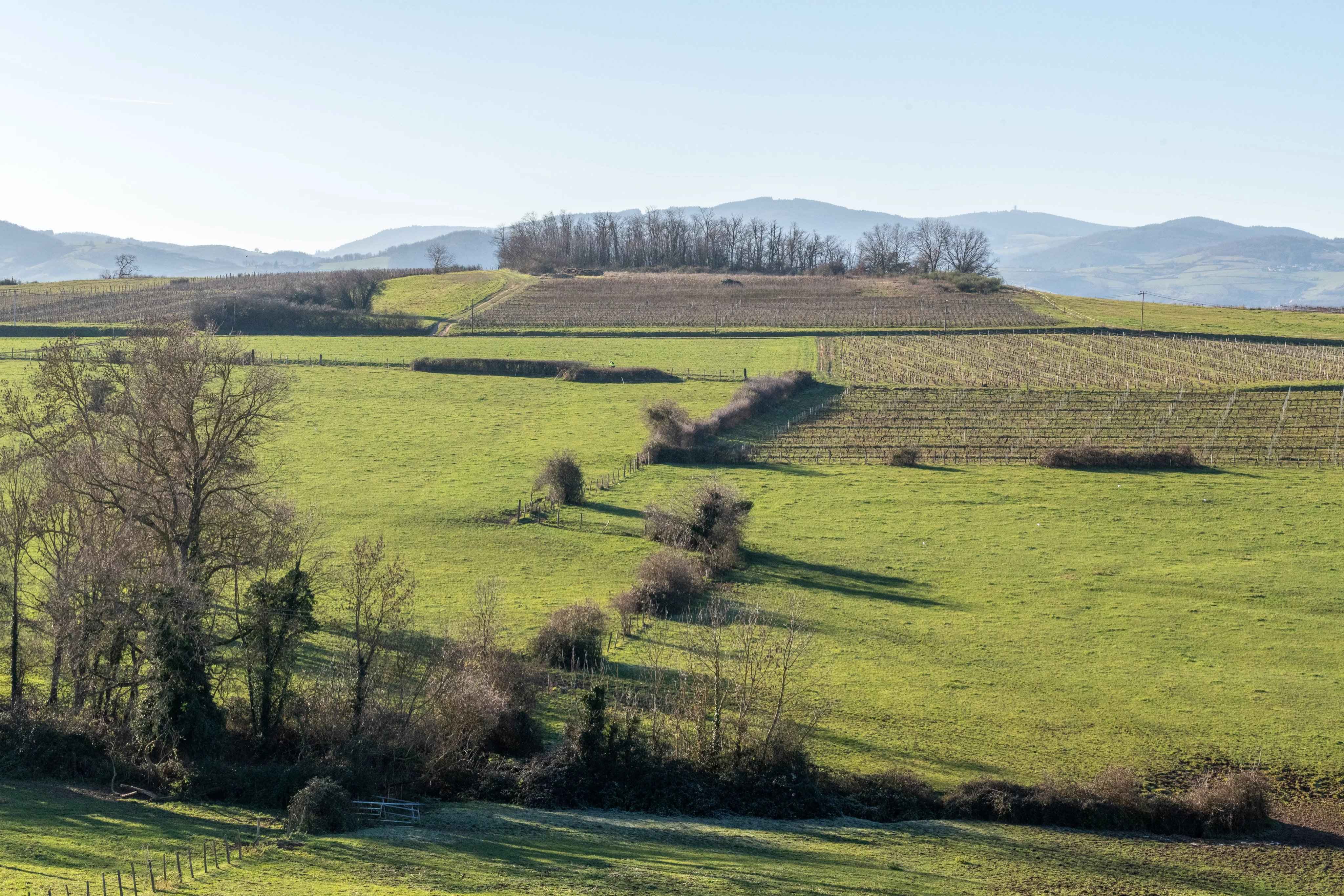 F5b9b138851c478960434ed4c8e4596a d3a0271e99 4096 original - Translation missing: en.helpers.application.image_tag.default_alt