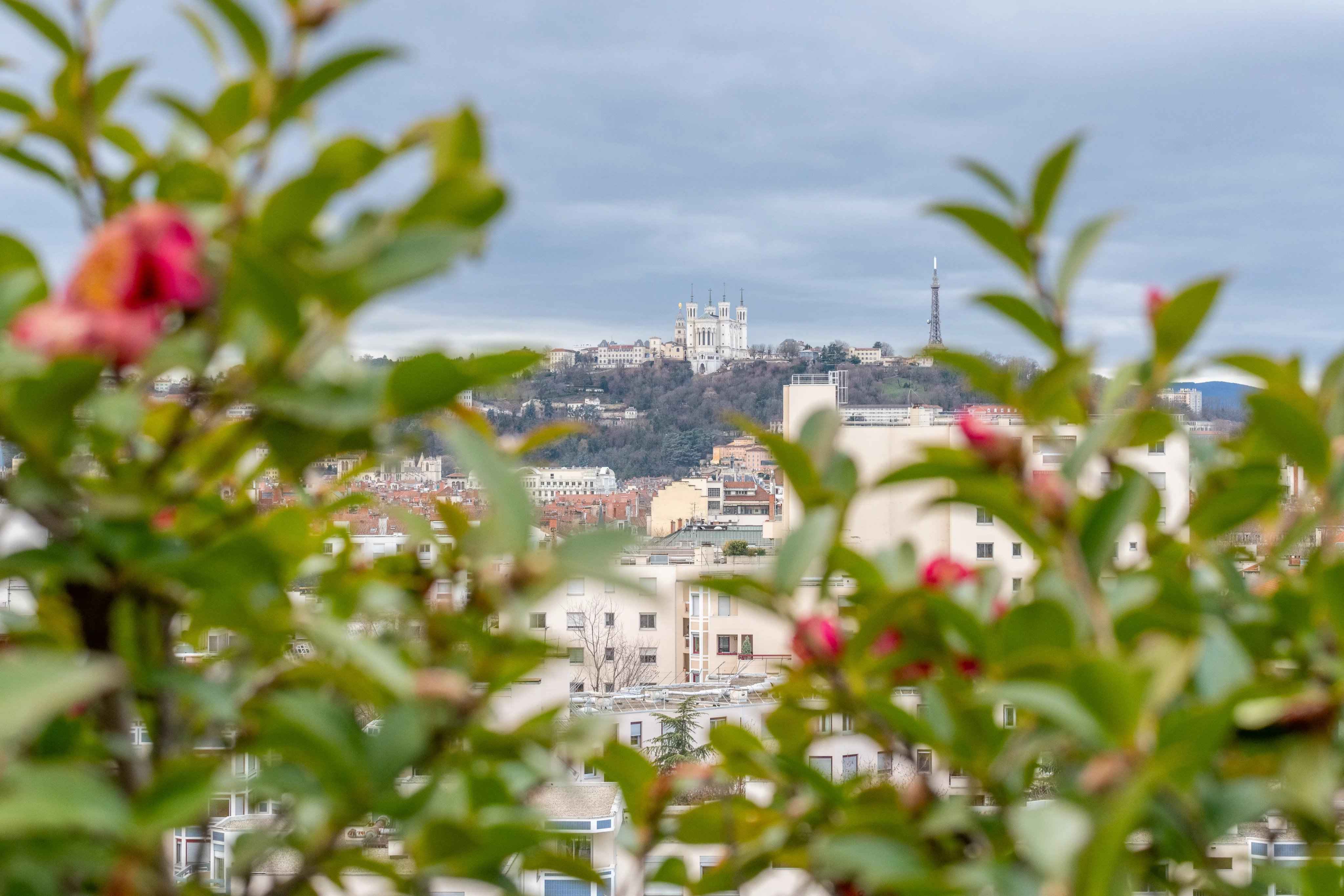 03fd47038076bc0344ffb753b43b5243 ddcaaa52e8 4096 original - Translation missing: en.helpers.application.image_tag.default_alt