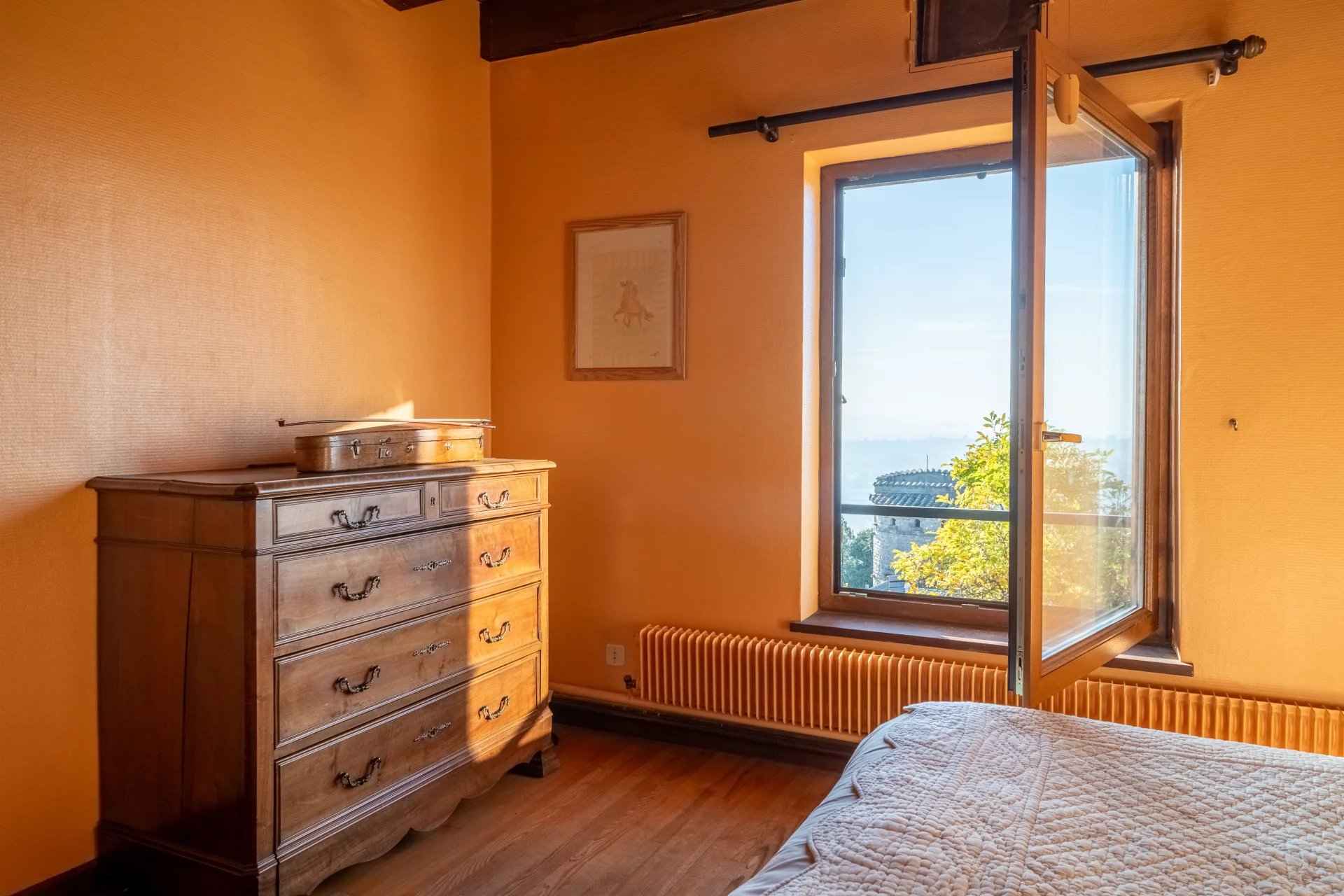 Dcd7b2200760986c970089ce2b392167 480ead08ef 1920 original - Translation missing: en.helpers.application.image_tag.default_alt