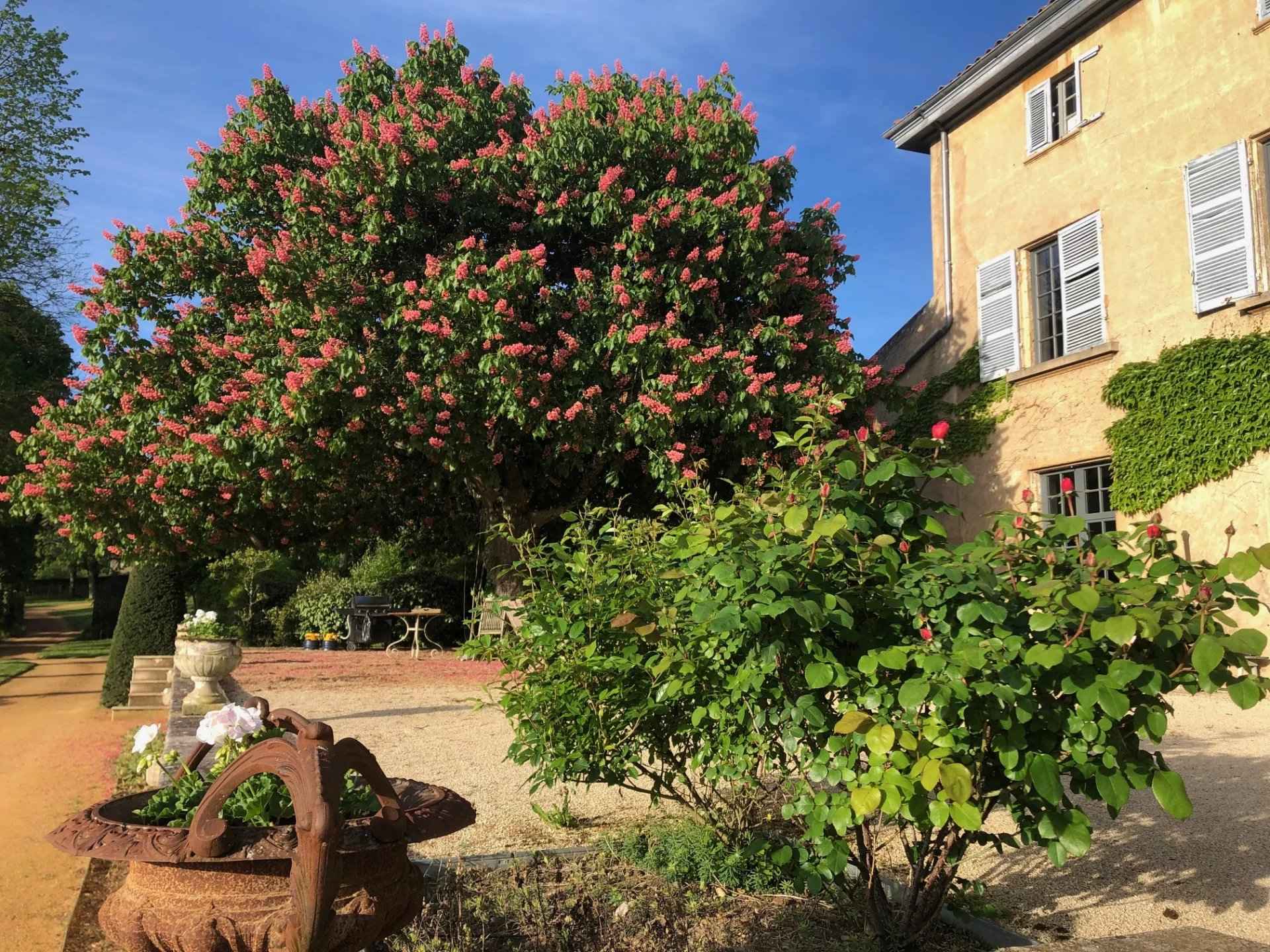 2c1e86783f05bc2905d2740514f8773d 16013a008d 1920 original - Attribut alt par défaut.