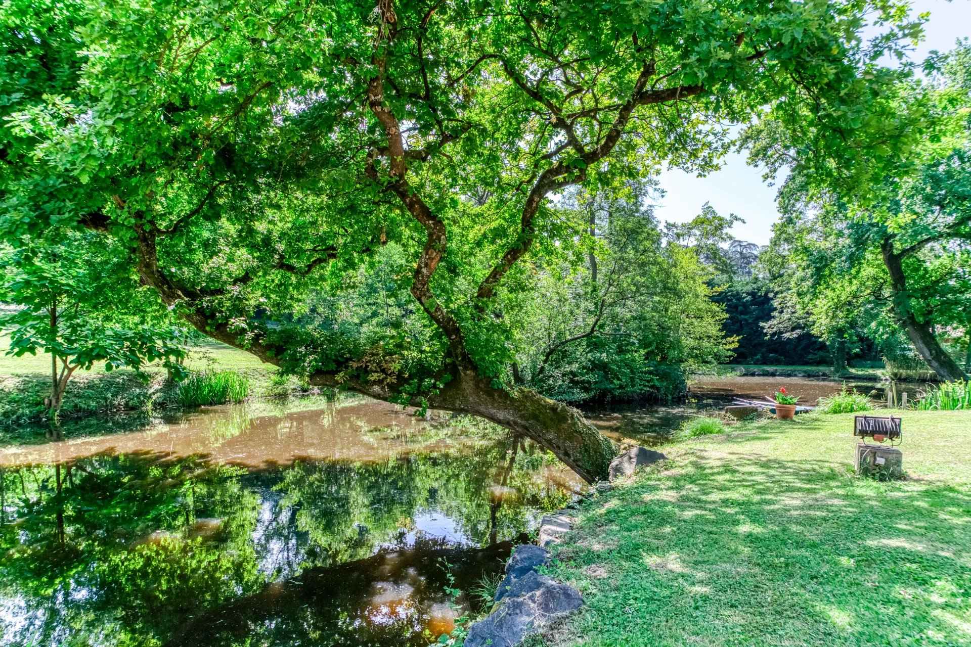 320c1bc2a2e85b00422ed72bbeed9a04 e871a33ace 1920 original - Translation missing: en.helpers.application.image_tag.default_alt