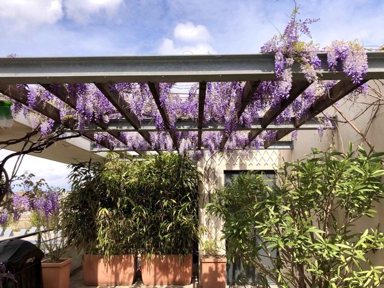 Bb836375deecc03b251d0f62ef63608f 21584b57e2 1239 original - Translation missing: en.helpers.application.image_tag.default_alt