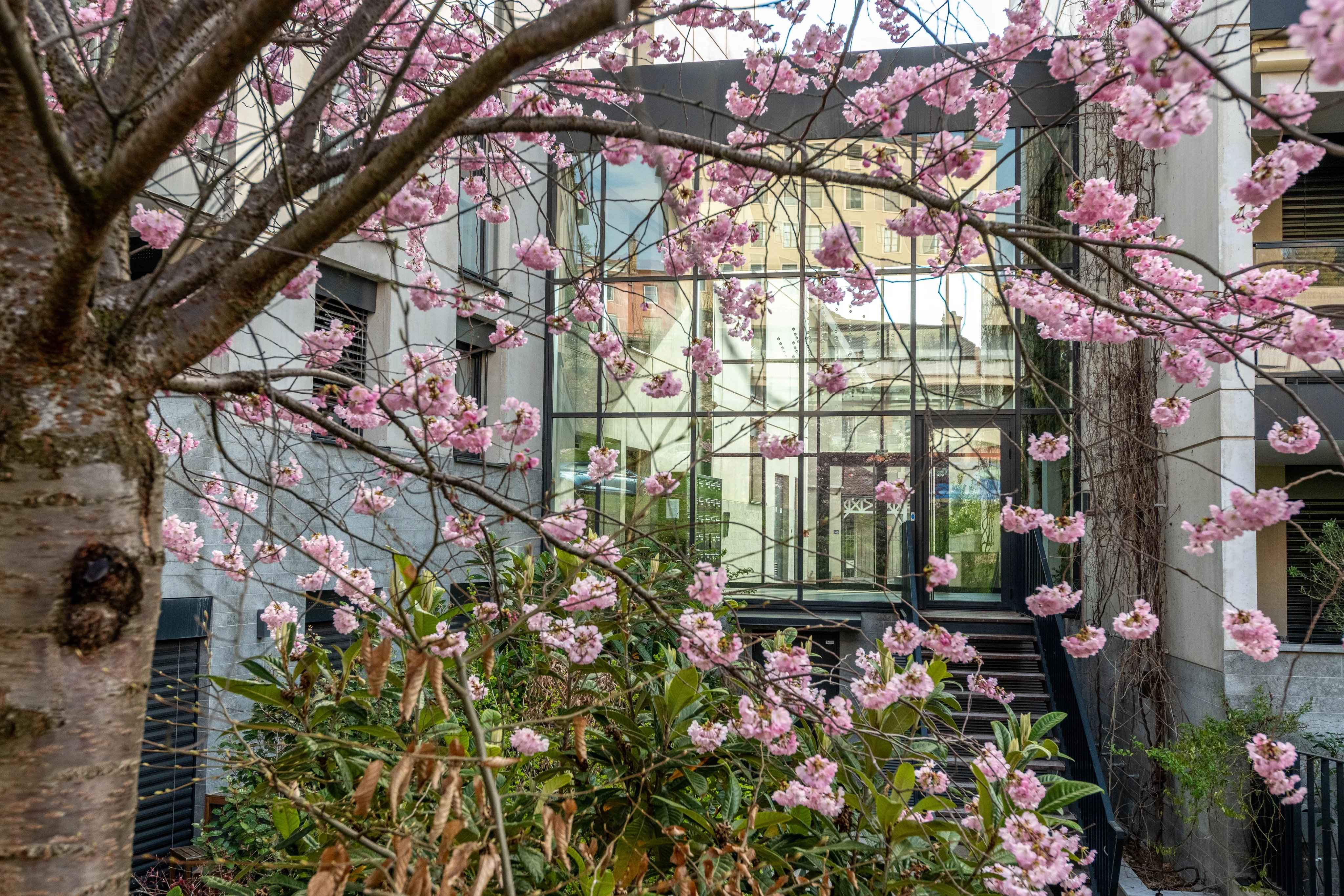 F66092d4c3a499353ee4a5c71335bae6 d11601a408 4096 original - Translation missing: en.helpers.application.image_tag.default_alt