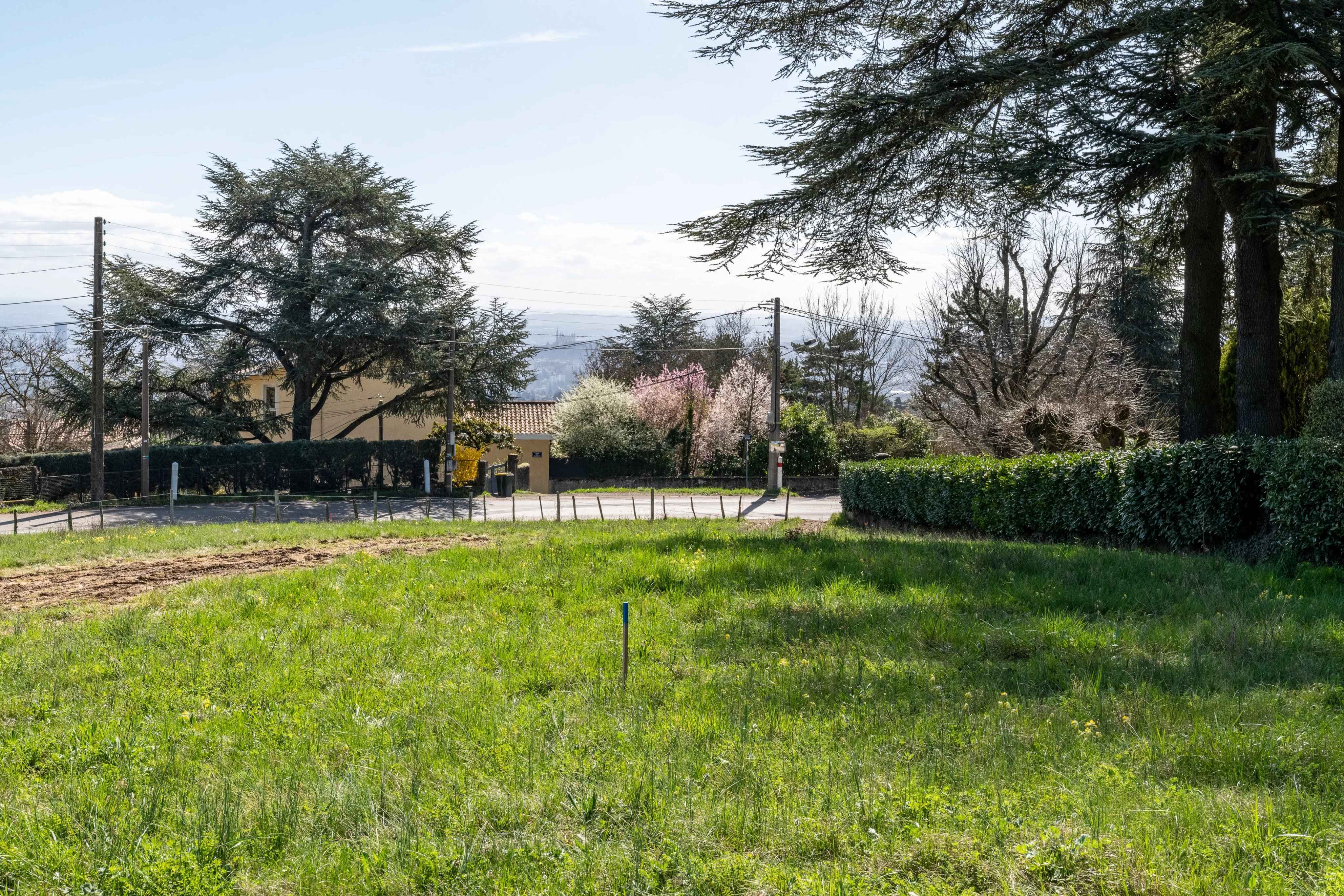 7a17d2e41fcf03f04801543484267713 0fd545456d 4096 original - Translation missing: en.helpers.application.image_tag.default_alt