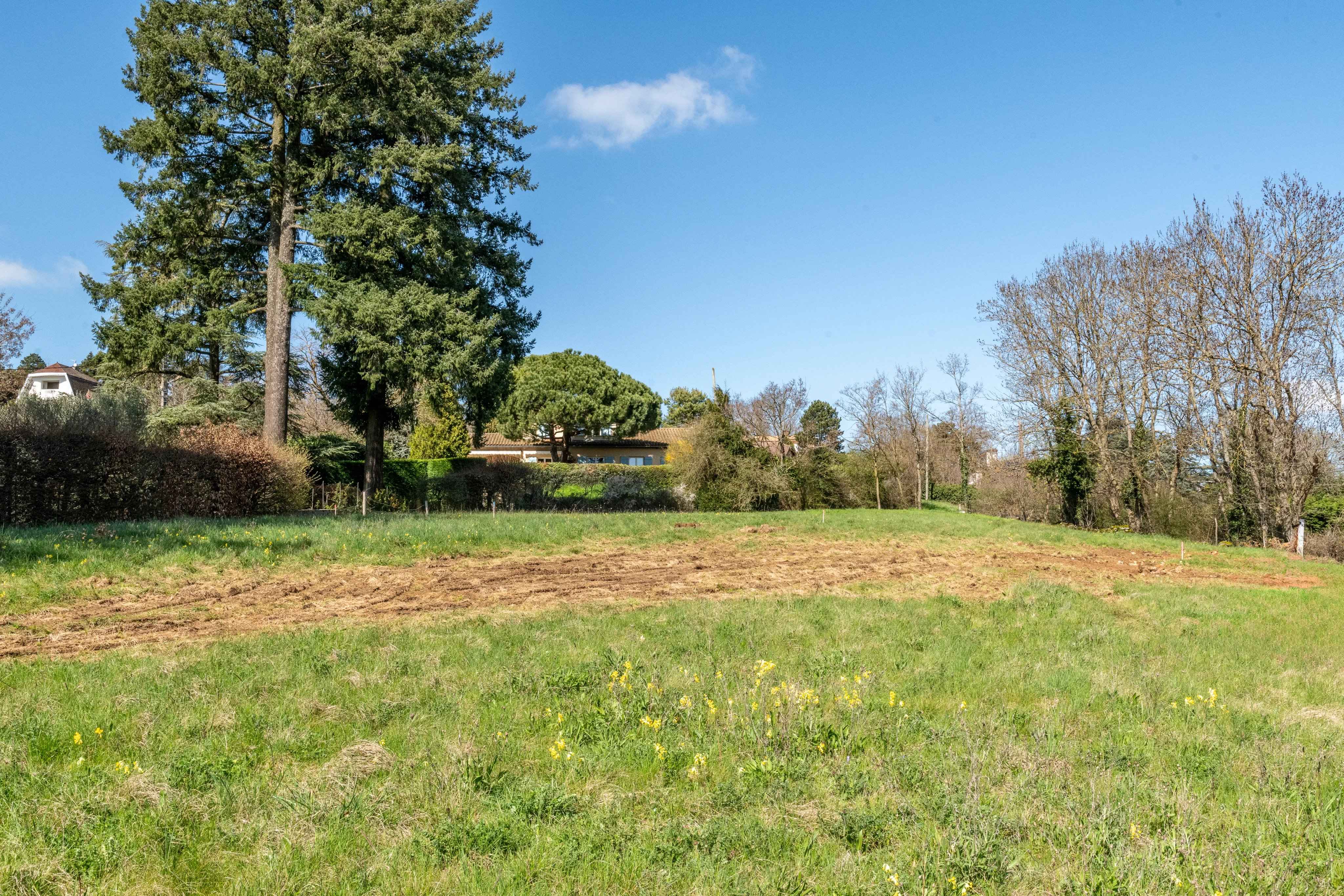 49596000af9320e28dbcf0f884ba5602 2949af1bd4 4096 original - Translation missing: en.helpers.application.image_tag.default_alt