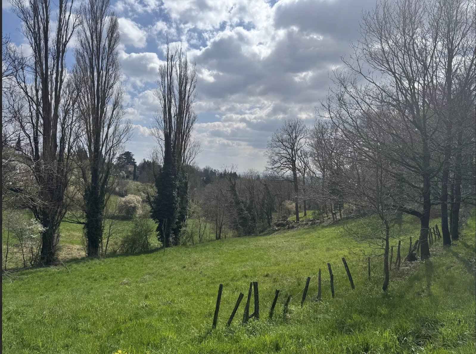 66de10a56889ba4161836282704cd8c0 105d460ccf 1598 original - Translation missing: en.helpers.application.image_tag.default_alt