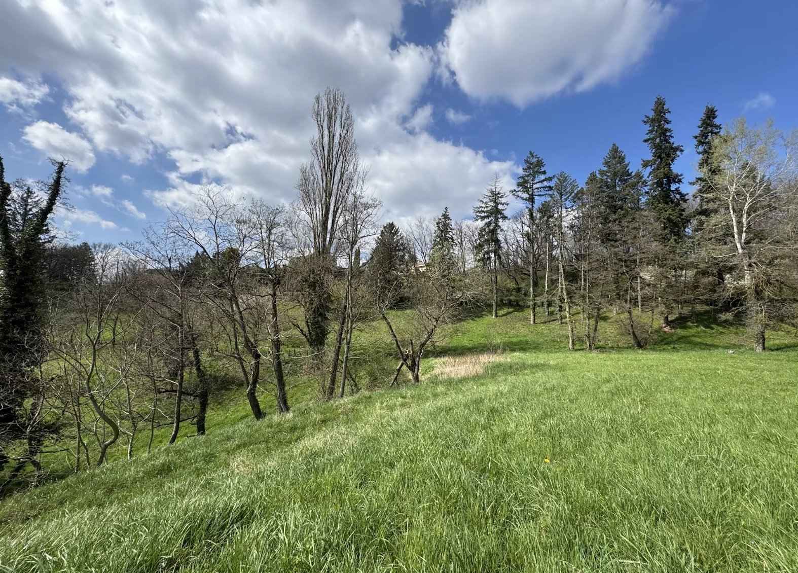 3e1890afb0bb33b94dad2eb334836570 c13e81d127 1574 original - Attribut alt par défaut.