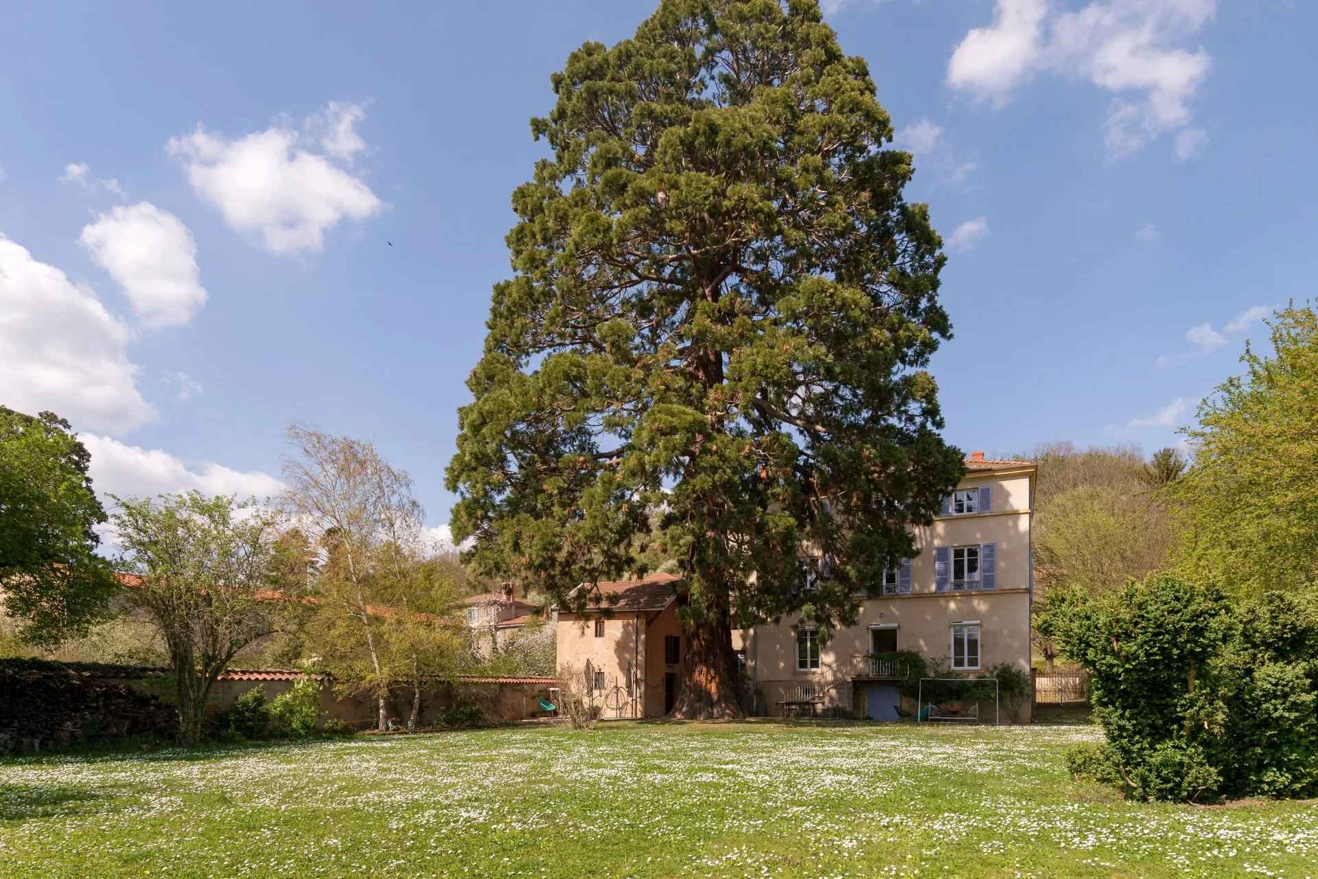 Ea9baf8e9f06be5b6fa270f860efbb8e 0a7a84c75c 1920 original - Translation missing: en.helpers.application.image_tag.default_alt