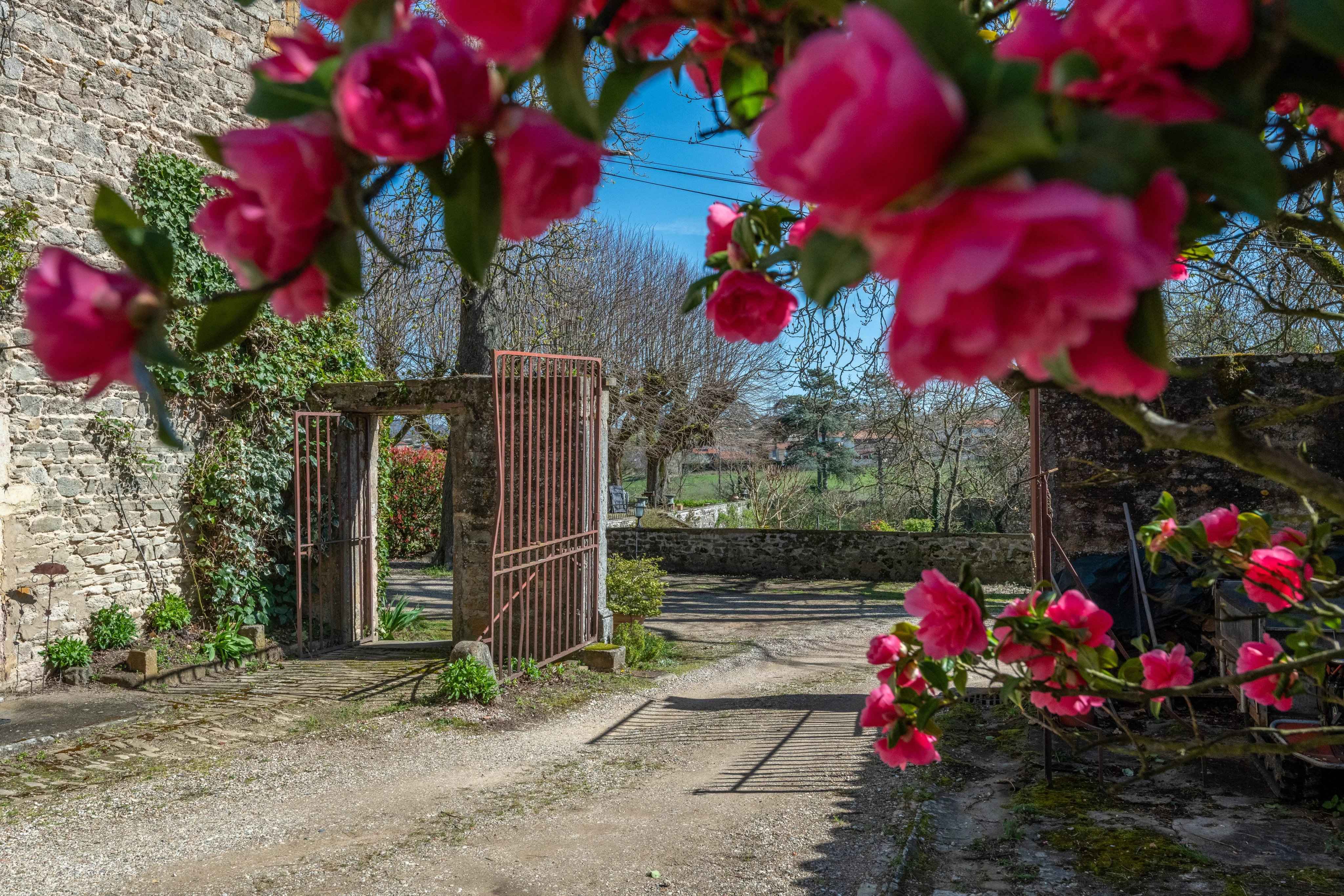 60678e60a221acff2e73bff620e3d454 94c1058d3e 4096 original - Translation missing: en.helpers.application.image_tag.default_alt