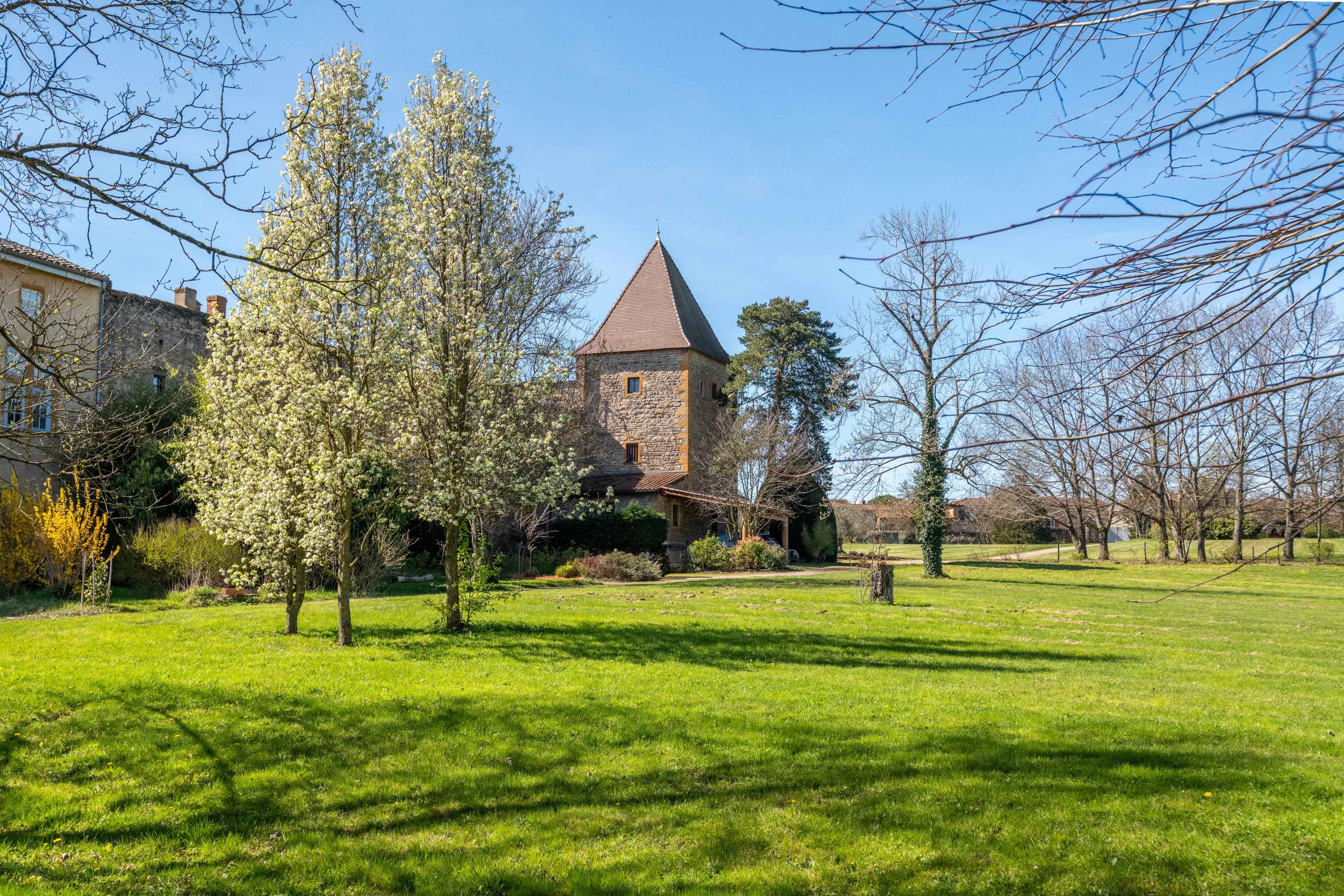 Cfa4412dbe60de26a2301c9fa8cf41a2 f72cb04463 4096 original - Translation missing: en.helpers.application.image_tag.default_alt