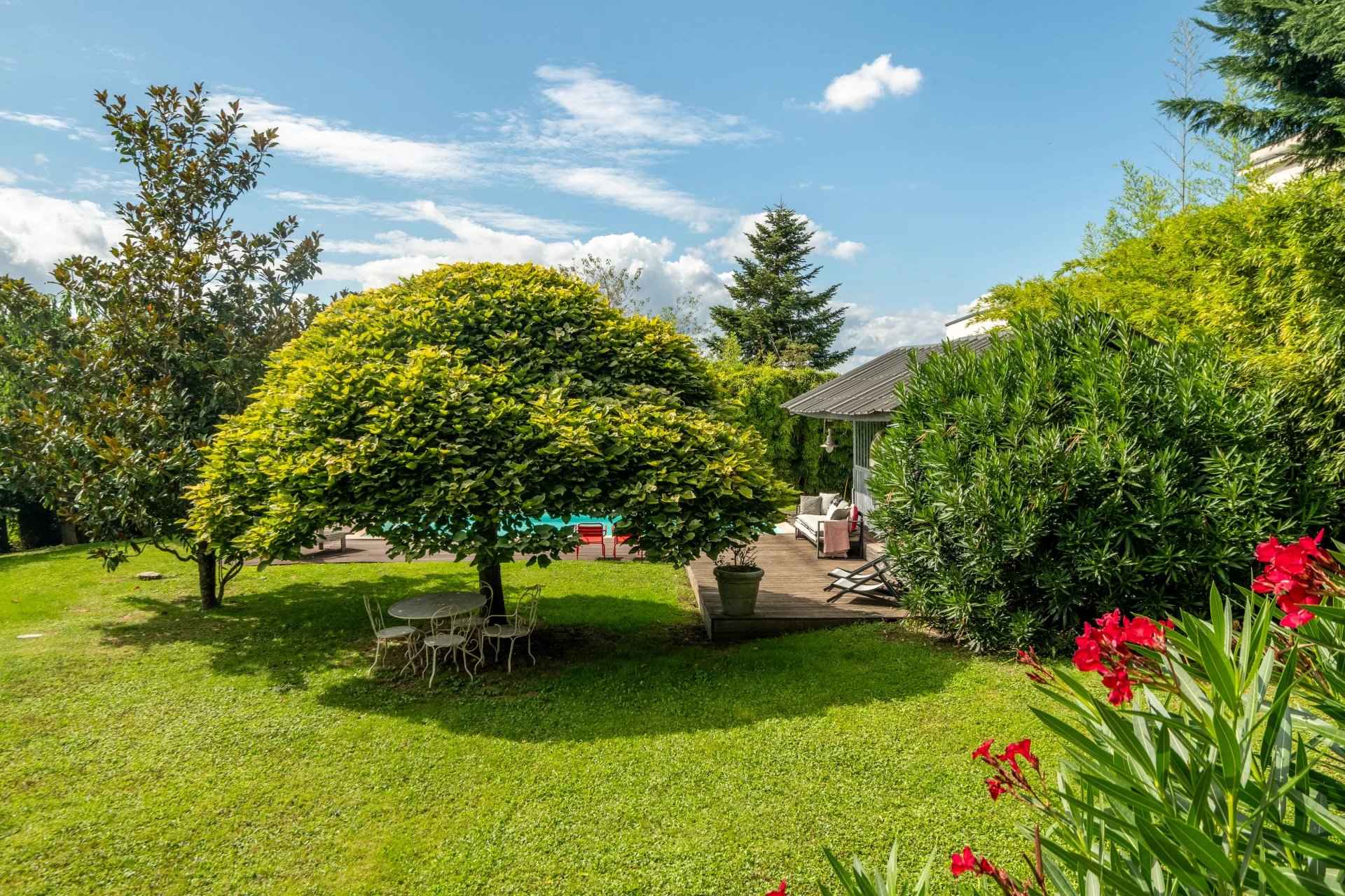 D7330647949f39c160f77d8aac82ca8a bc6416b0a9 1920 original - Translation missing: en.helpers.application.image_tag.default_alt