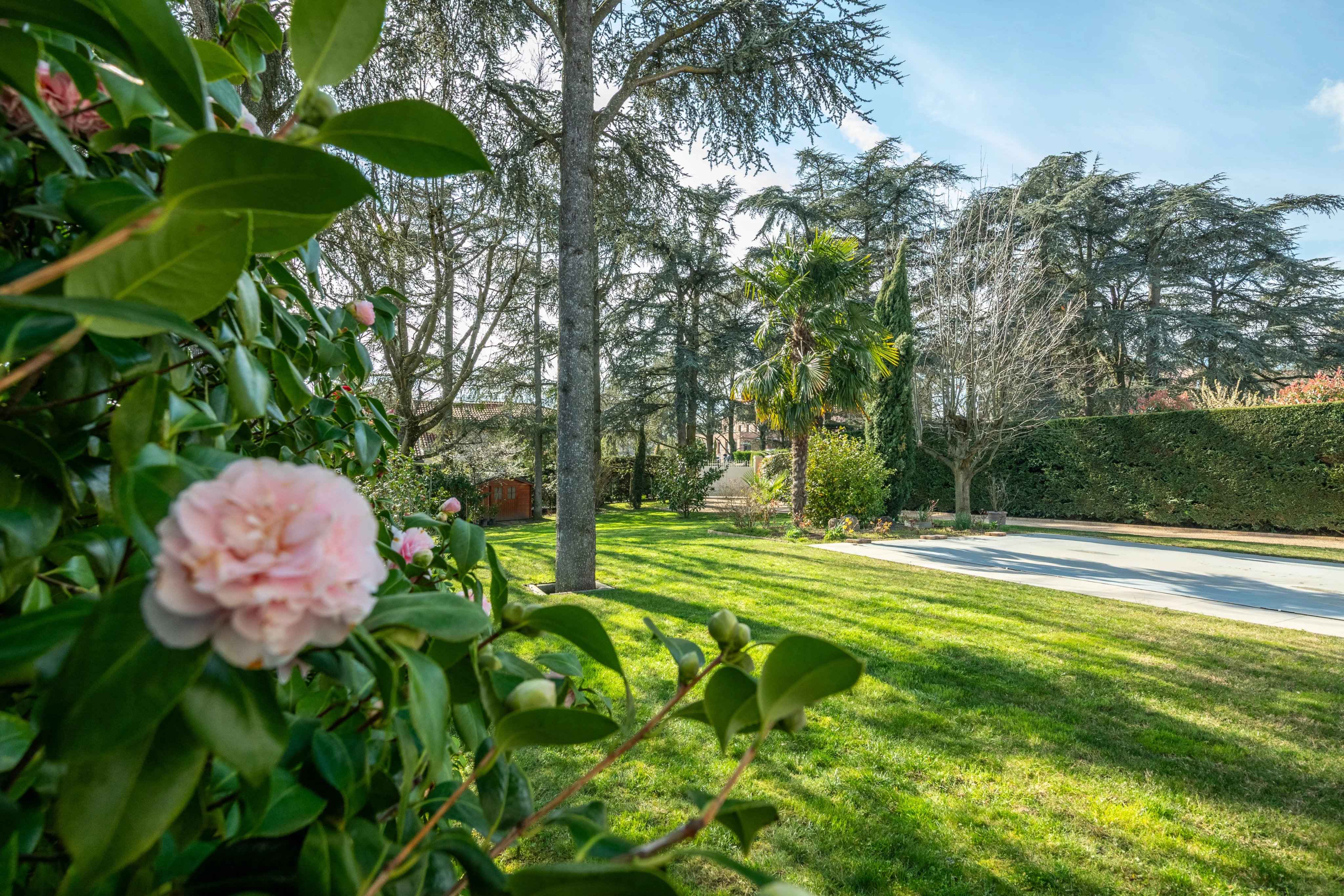 E3f408f43fe00bdc4999921542400e2a a7a3526f9c 4096 original - Translation missing: en.helpers.application.image_tag.default_alt