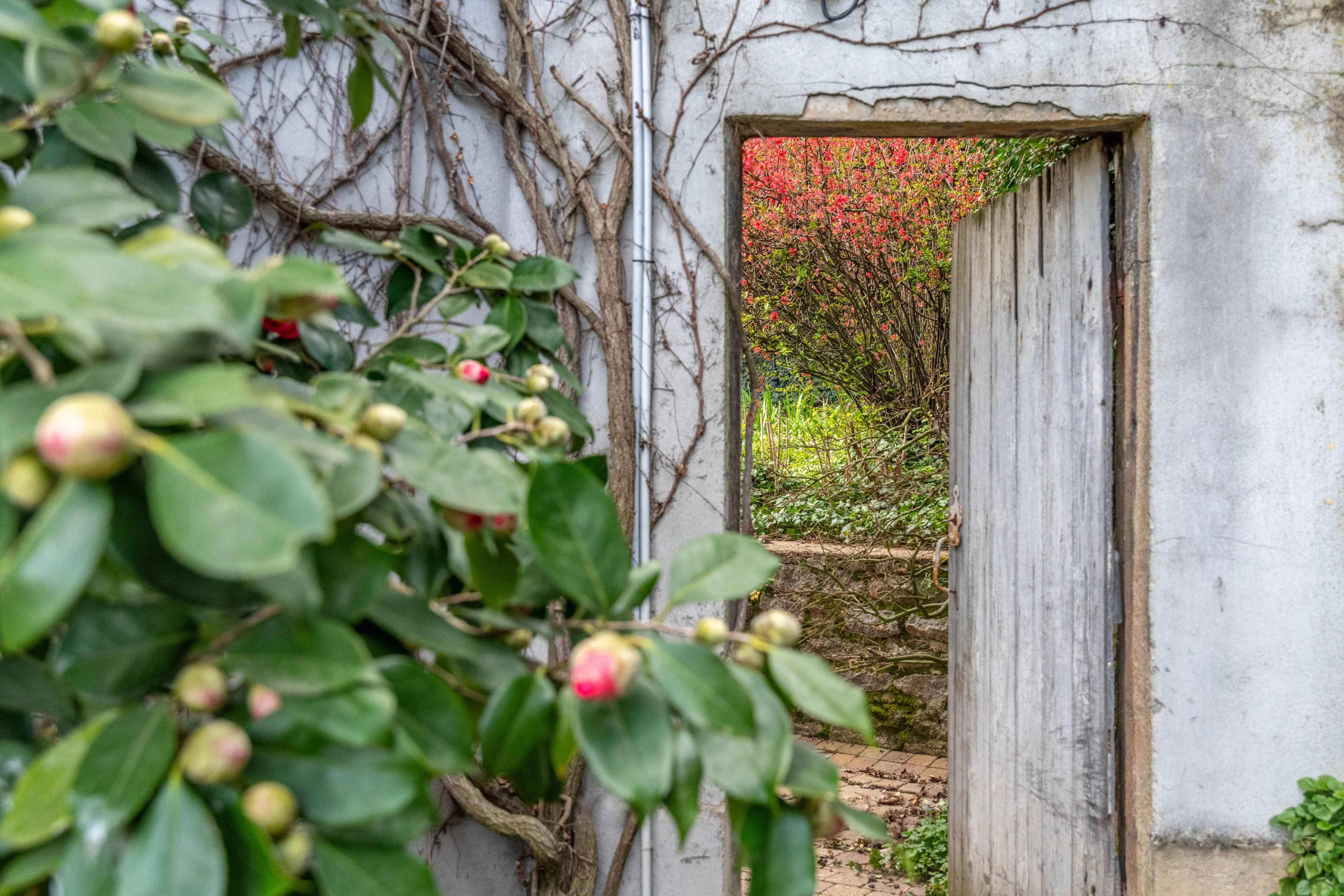 11fcbd70a9b461ea3a7c9a696083c824 8a33d06064 4096 original - Attribut alt par défaut.