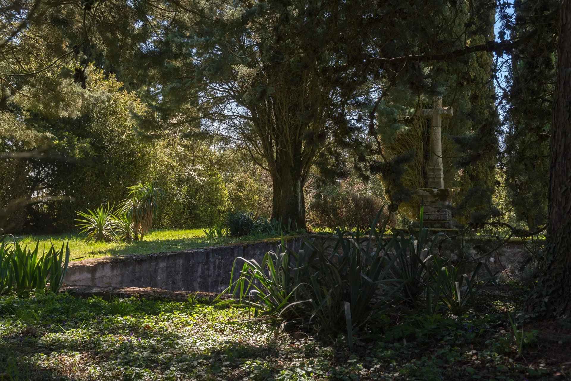 7771b9fd194fa9388419e3c31fab63e5 faf9c2fcf5 1920 original - Attribut alt par défaut.