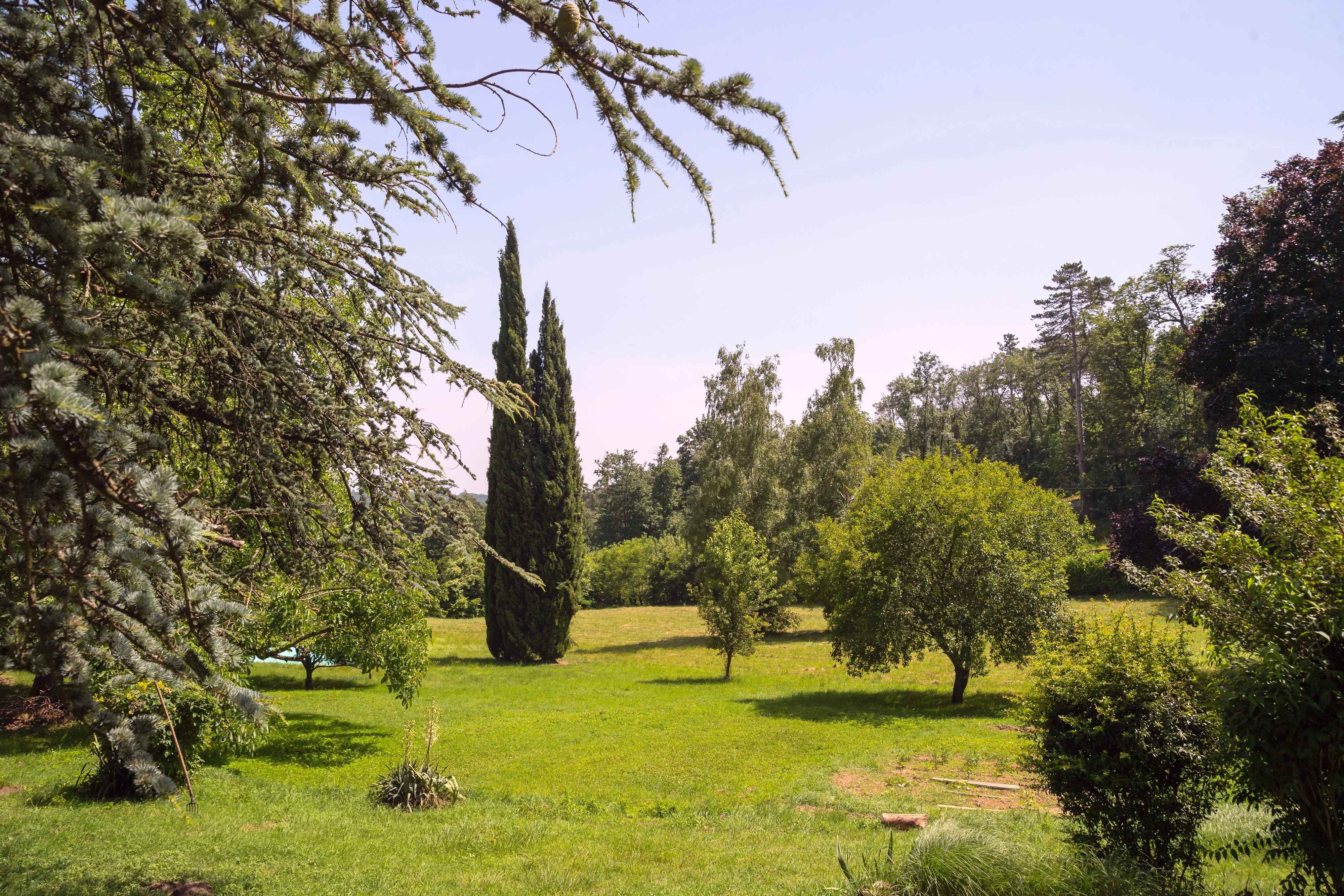 10ff334bc832244fc15d94adf6a8aa70 507c5892e9 4000 original - Translation missing: en.helpers.application.image_tag.default_alt