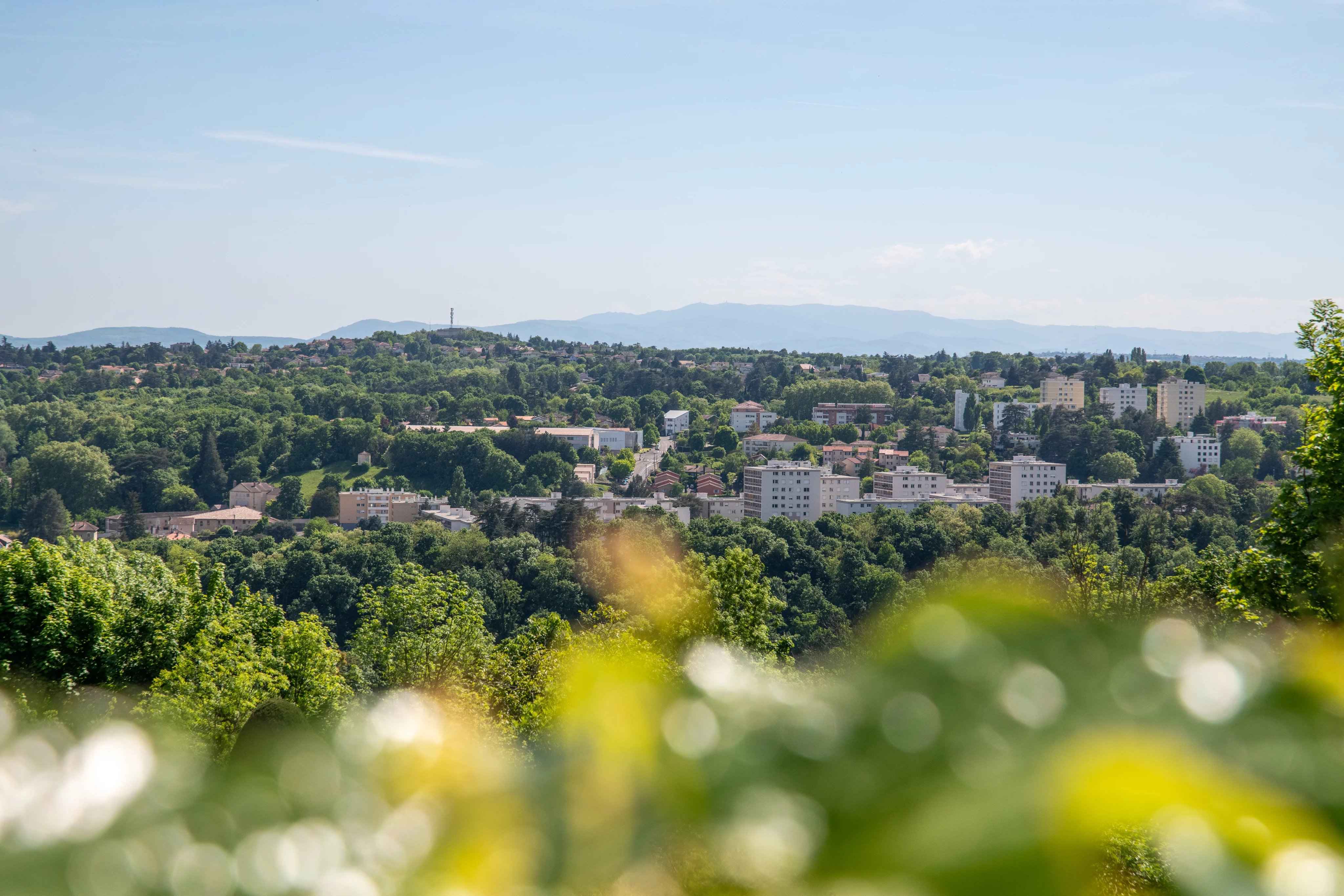 Cbe9323353ff8df08ade86ddaa929bc9 0f7c8e7c88 4096 original - Translation missing: en.helpers.application.image_tag.default_alt