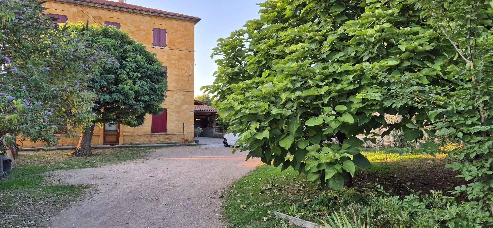 4d31388bb0bfb35c602c25eac4753593 3e3146eace 2000 original - Translation missing: en.helpers.application.image_tag.default_alt