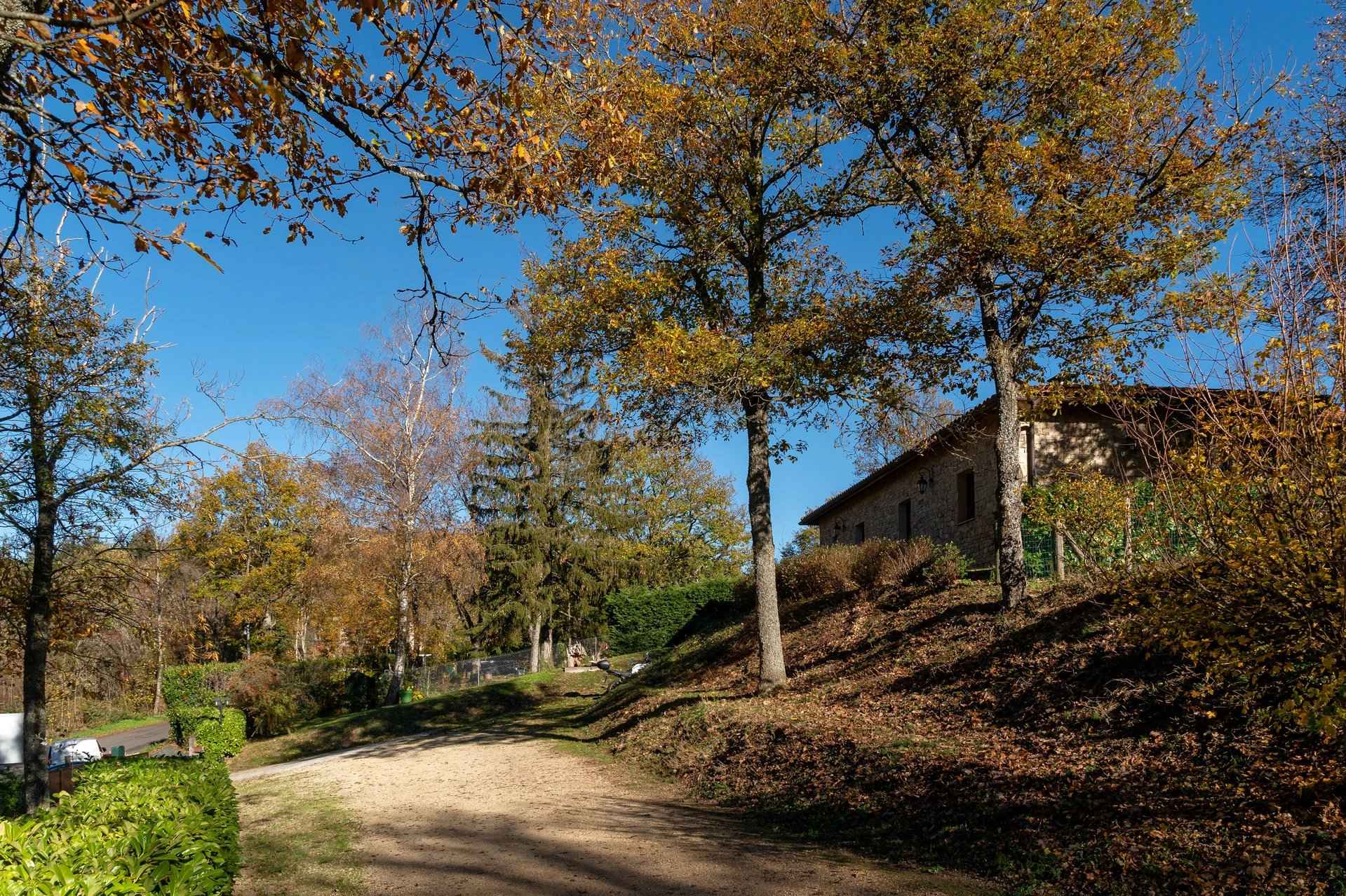 Terrain - Demeure en pierres dans les Monts du Lyonnais- Barnes Lyon, agence immobilière de prestige