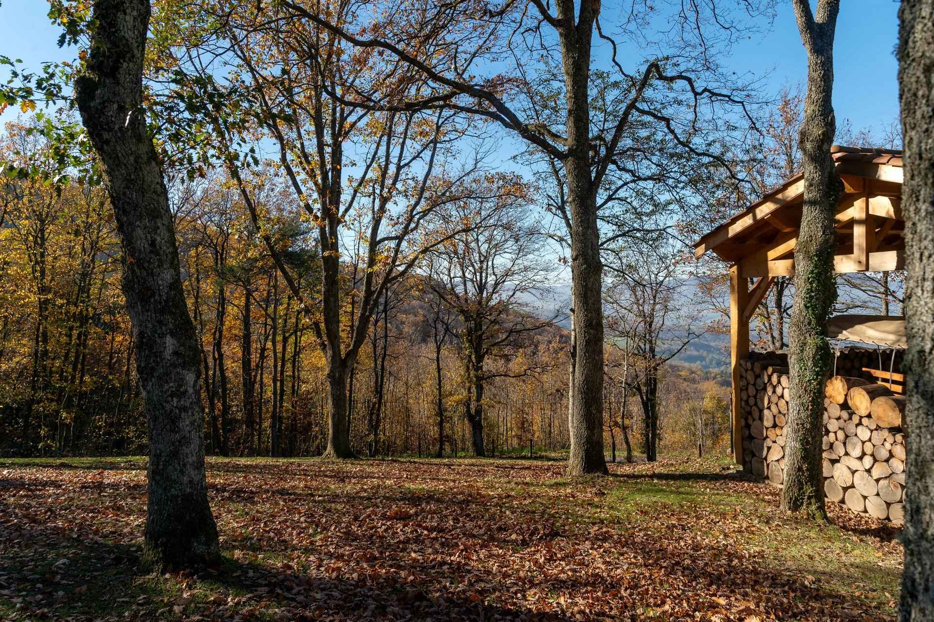 Parc boisé - Demeure en pierres dans les Monts du Lyonnais - Barnes Lyon, agence immobilière de prestige