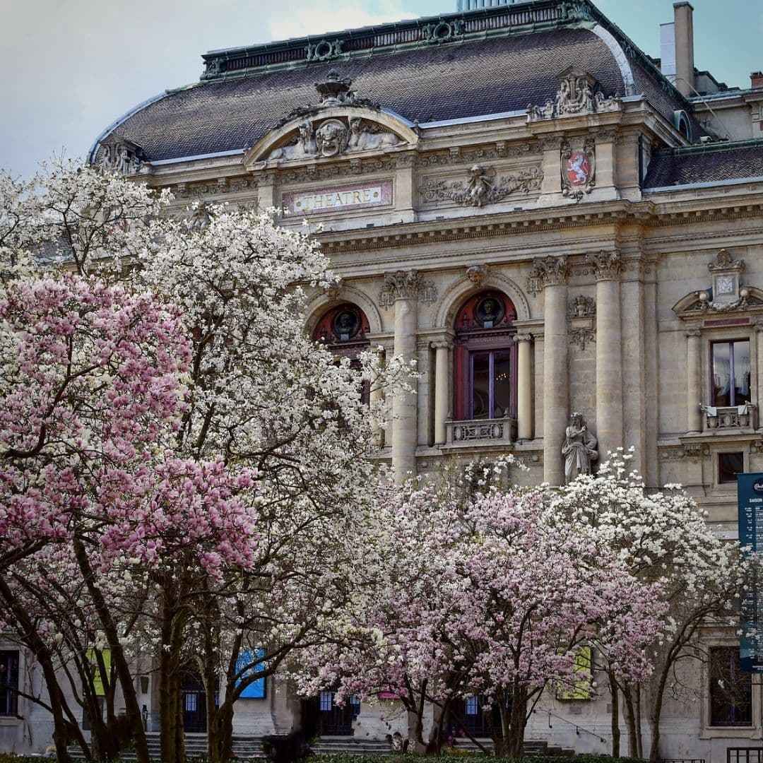 Celestins district Lyon