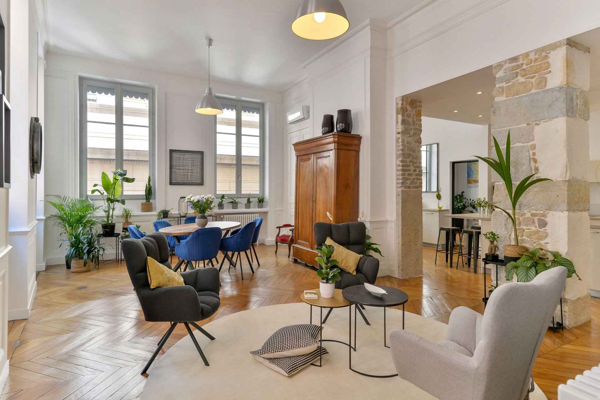 Appartement Lyon 1 245 m²